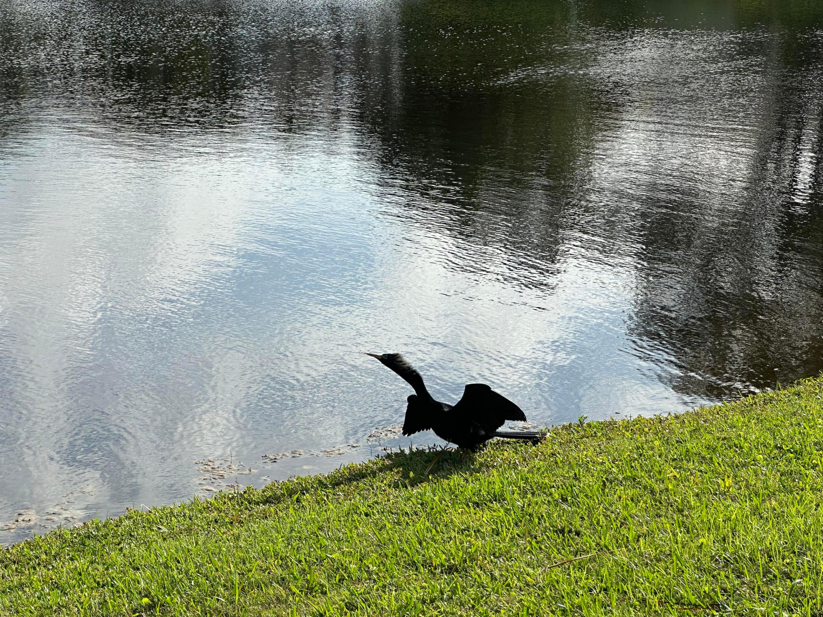 5678 Emerald Cay Terrace