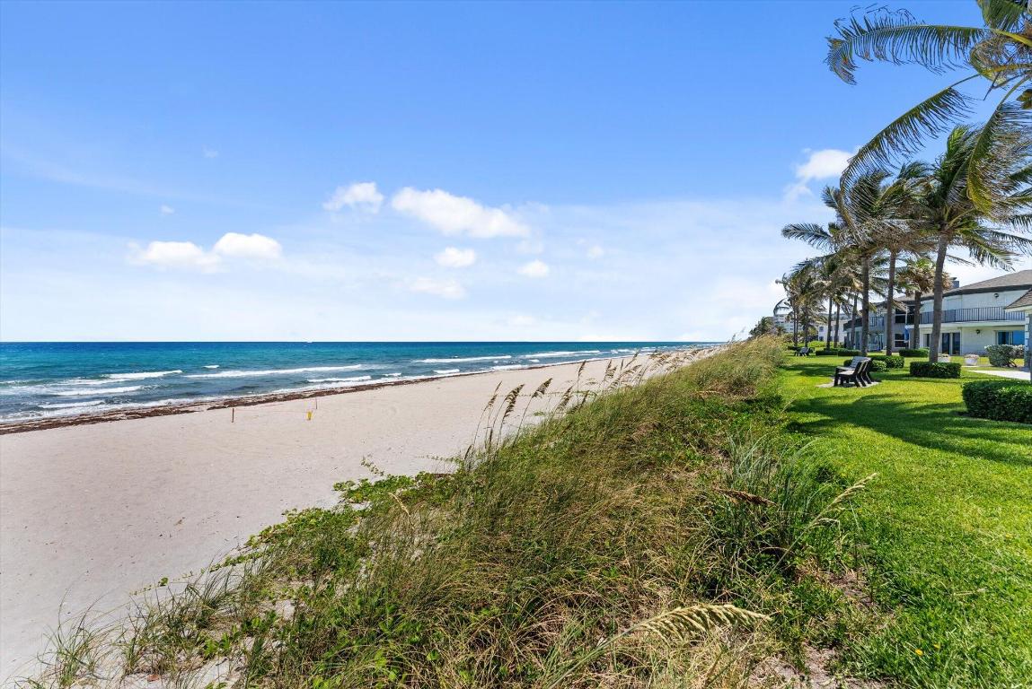 1194 Hillsboro Mile 31