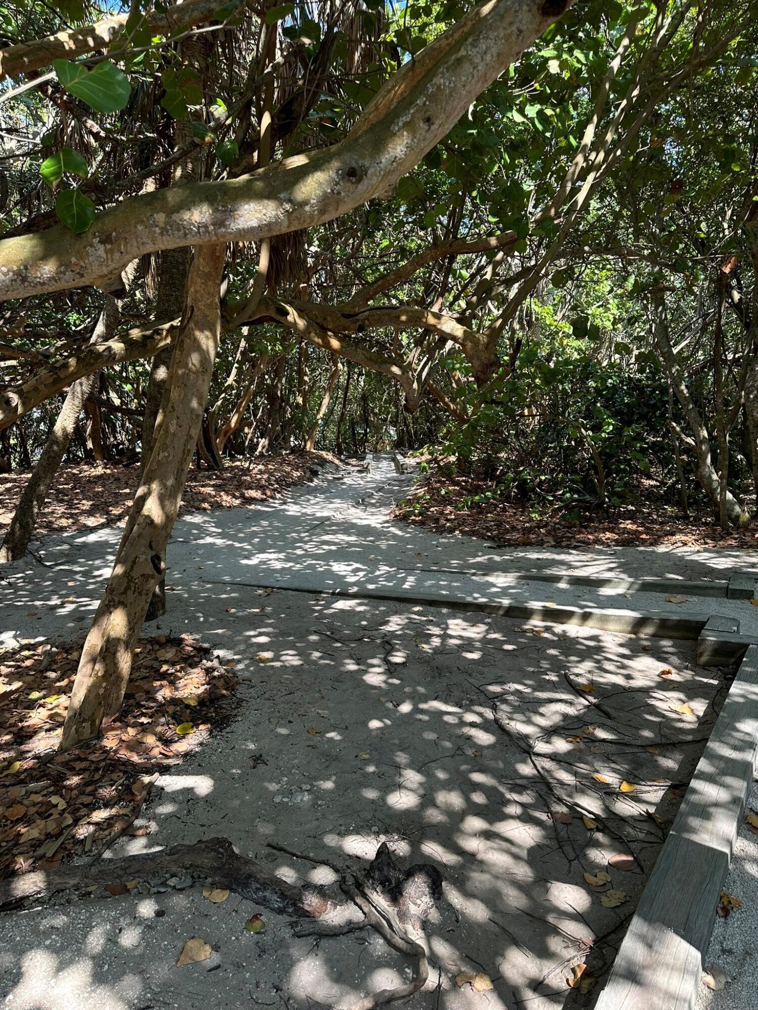 6590 N Ocean Boulevard 9