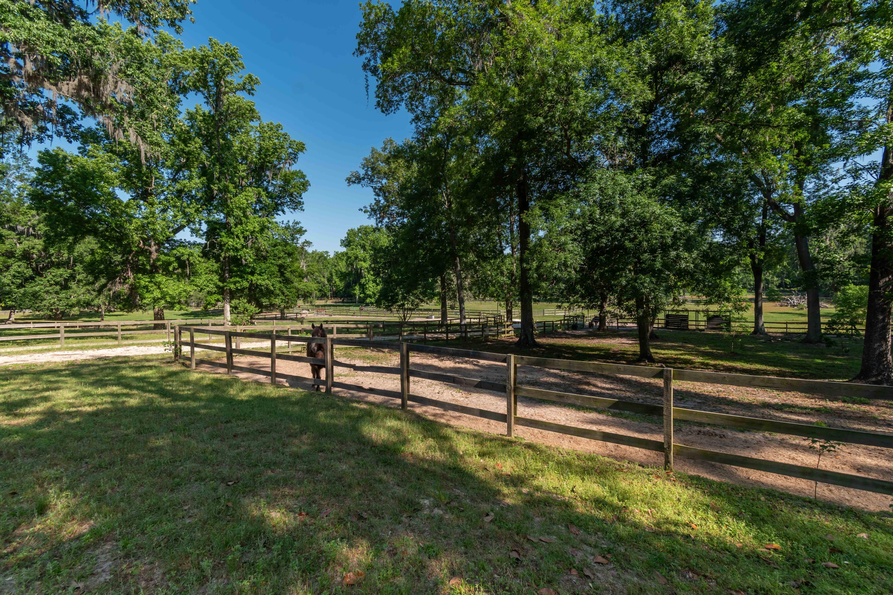 9809 NW 59th Terrace, Gainesville