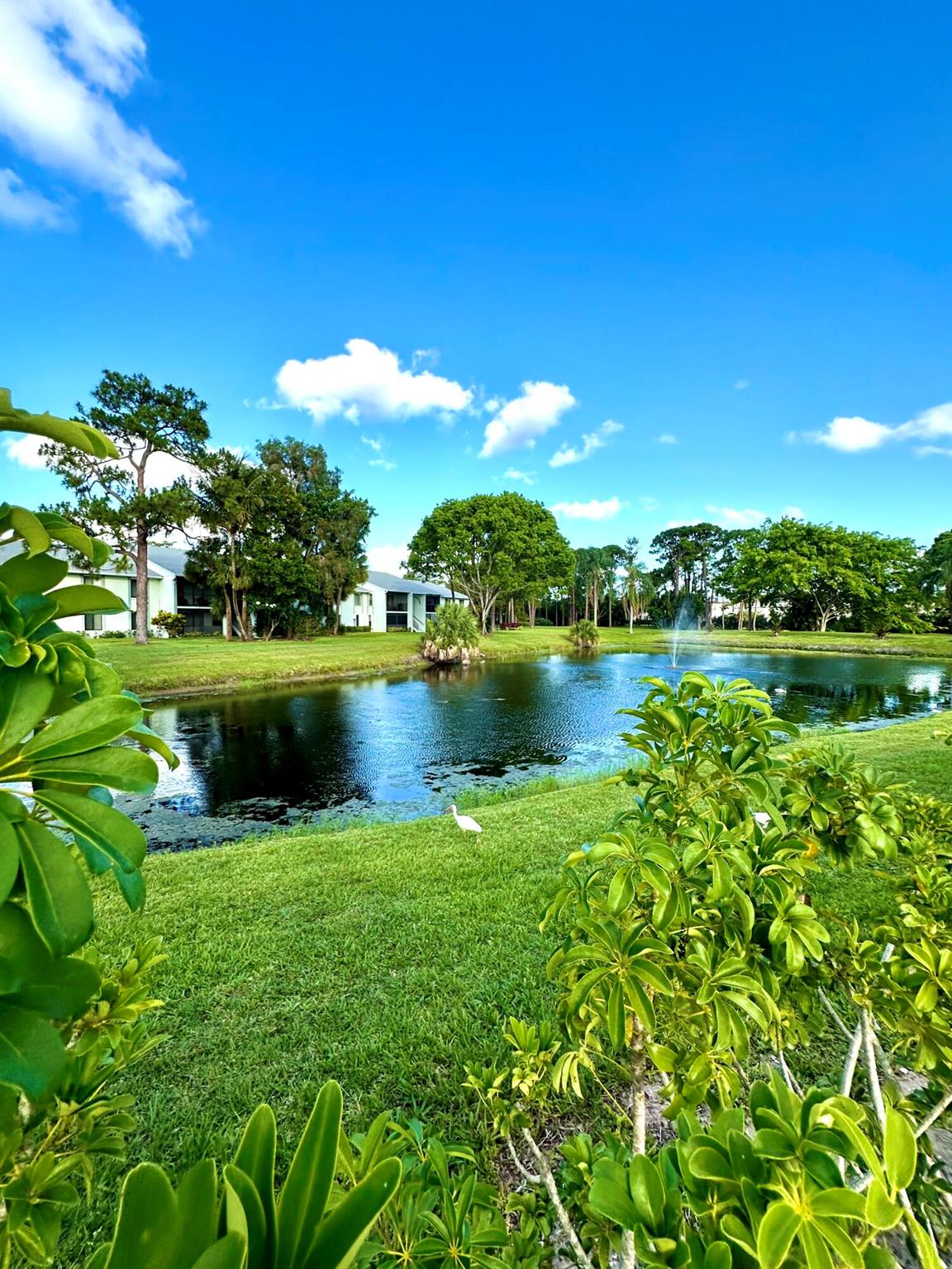 3732 Savoy Lane 109 B2