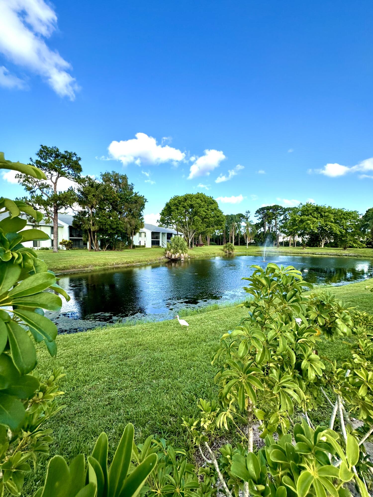 3732 Savoy Lane 109 B2