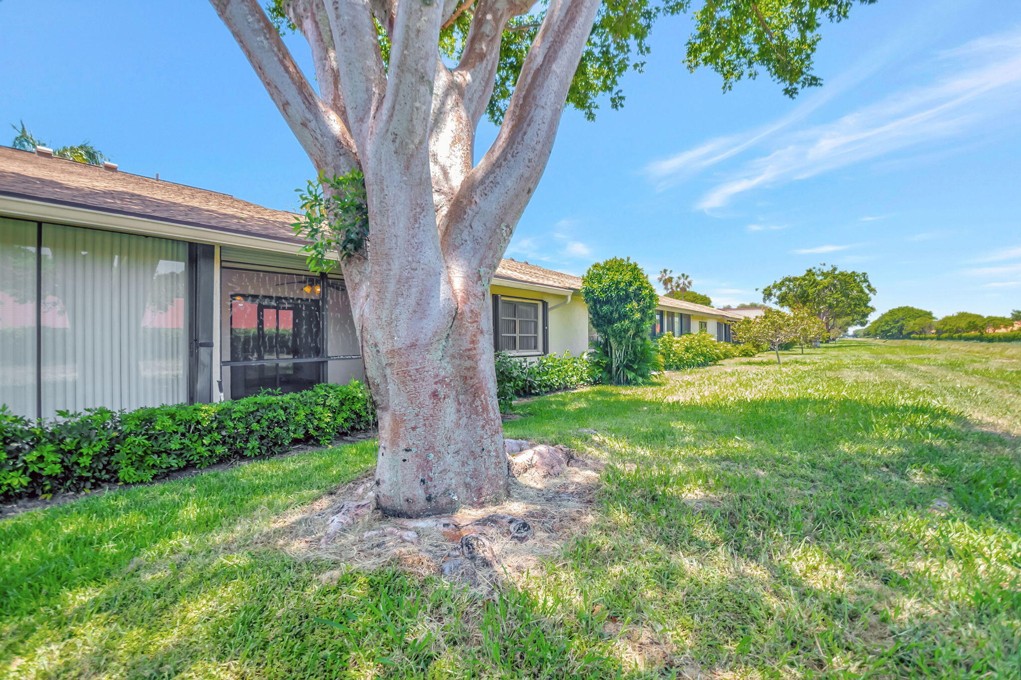 8135 Whispering Palm Drive