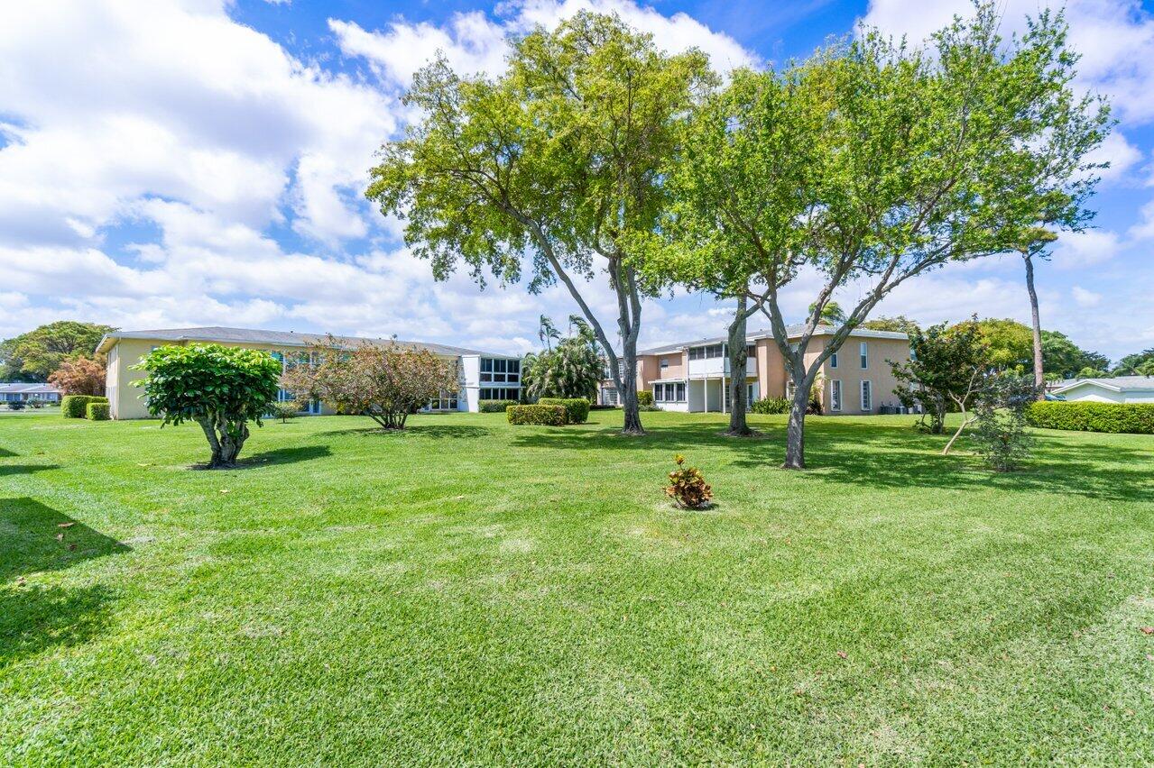 2411 Papaya Drive 203