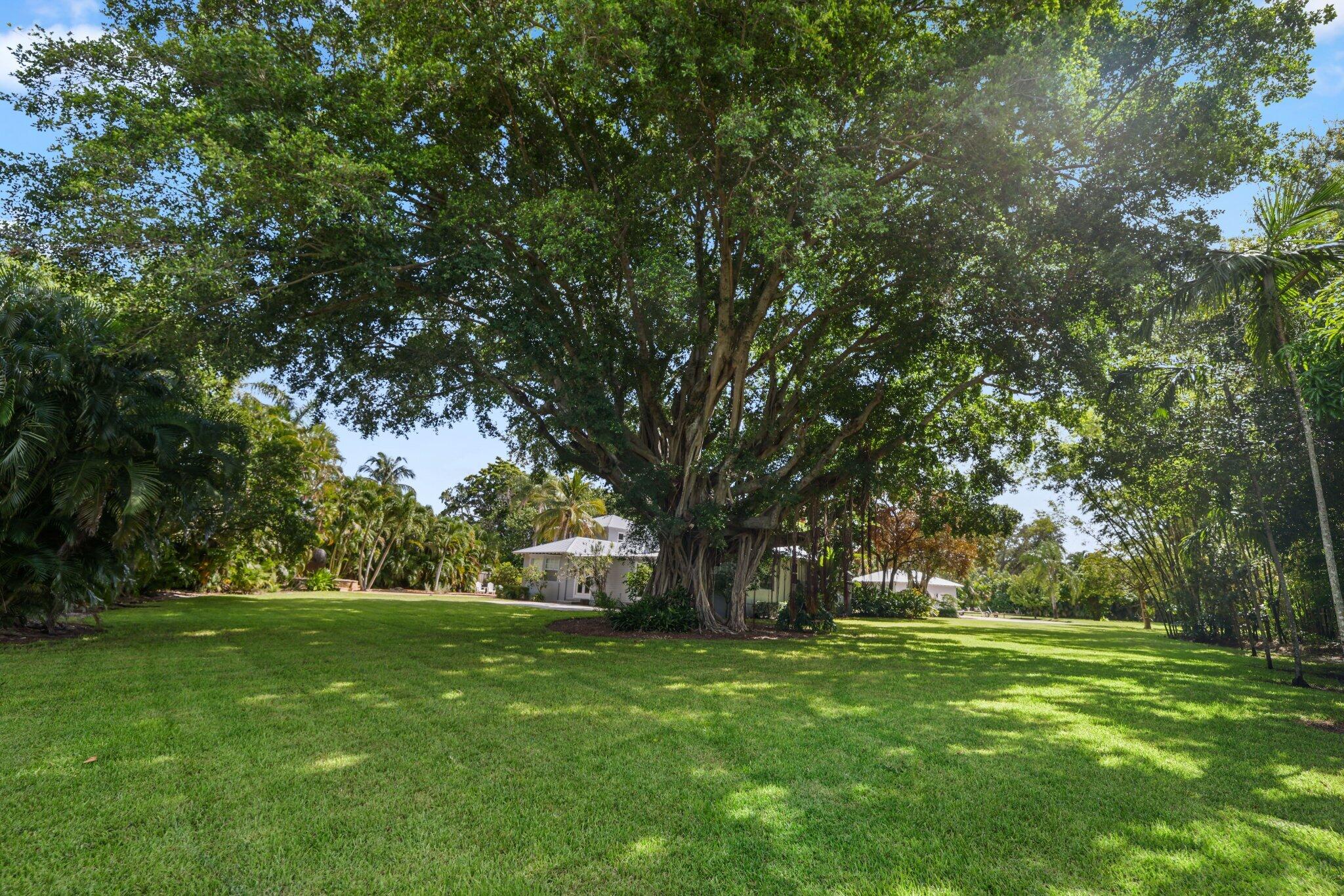920 Hibiscus Lane