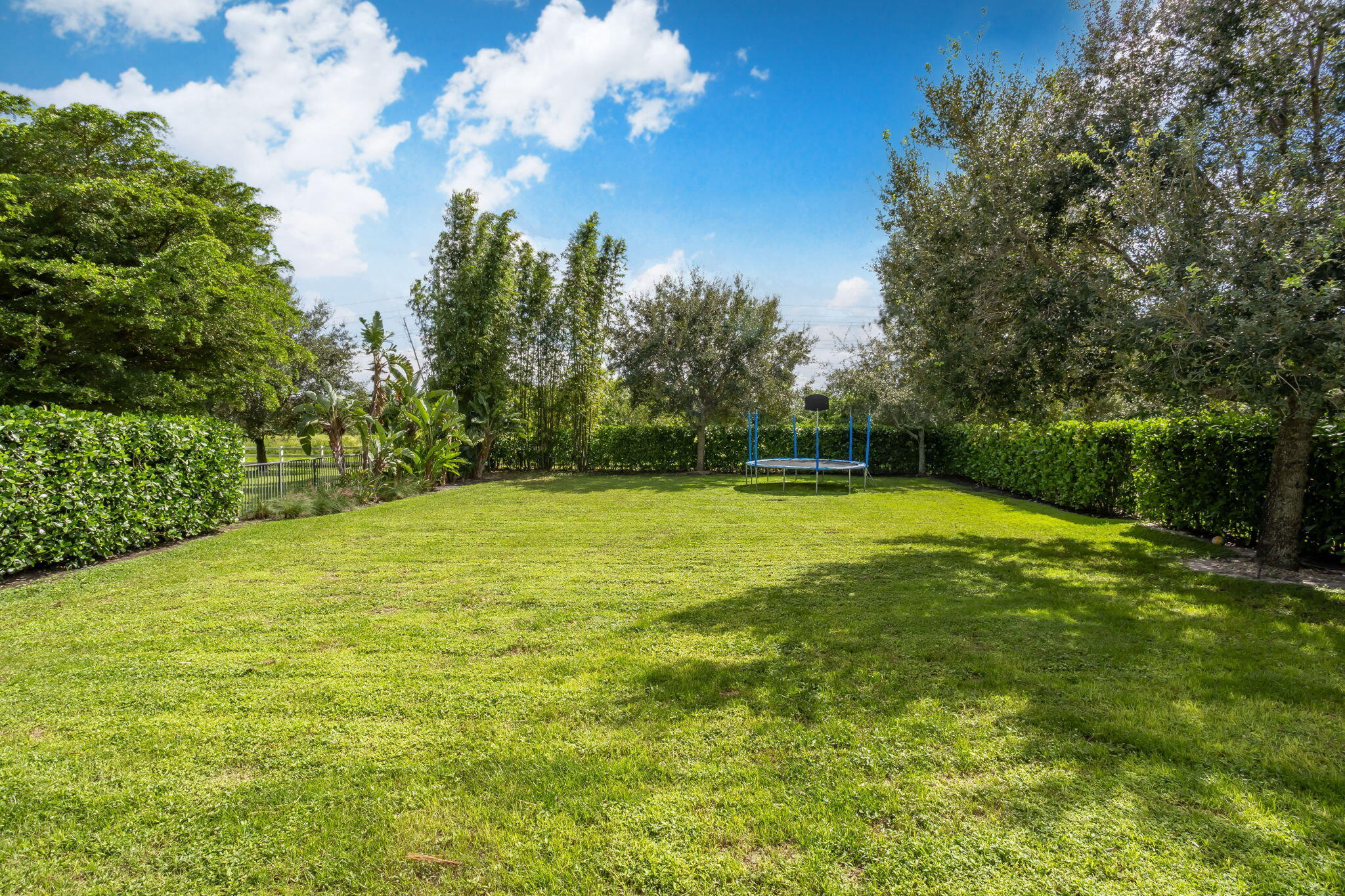 9354 Equus Circle