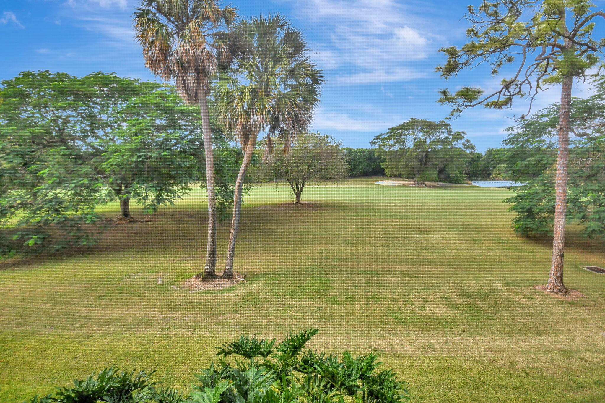 7846 La Mirada Drive 11