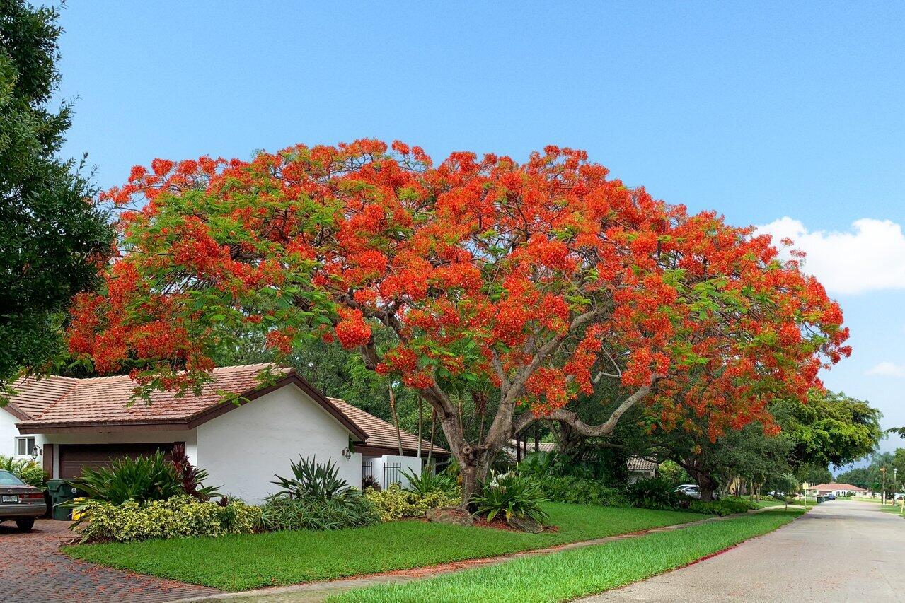 2423 NW Timbercreek Circle NW, Boca Raton