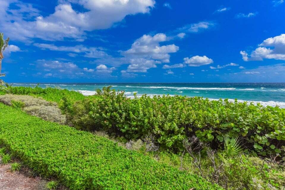 1063 Hillsboro Mile 301