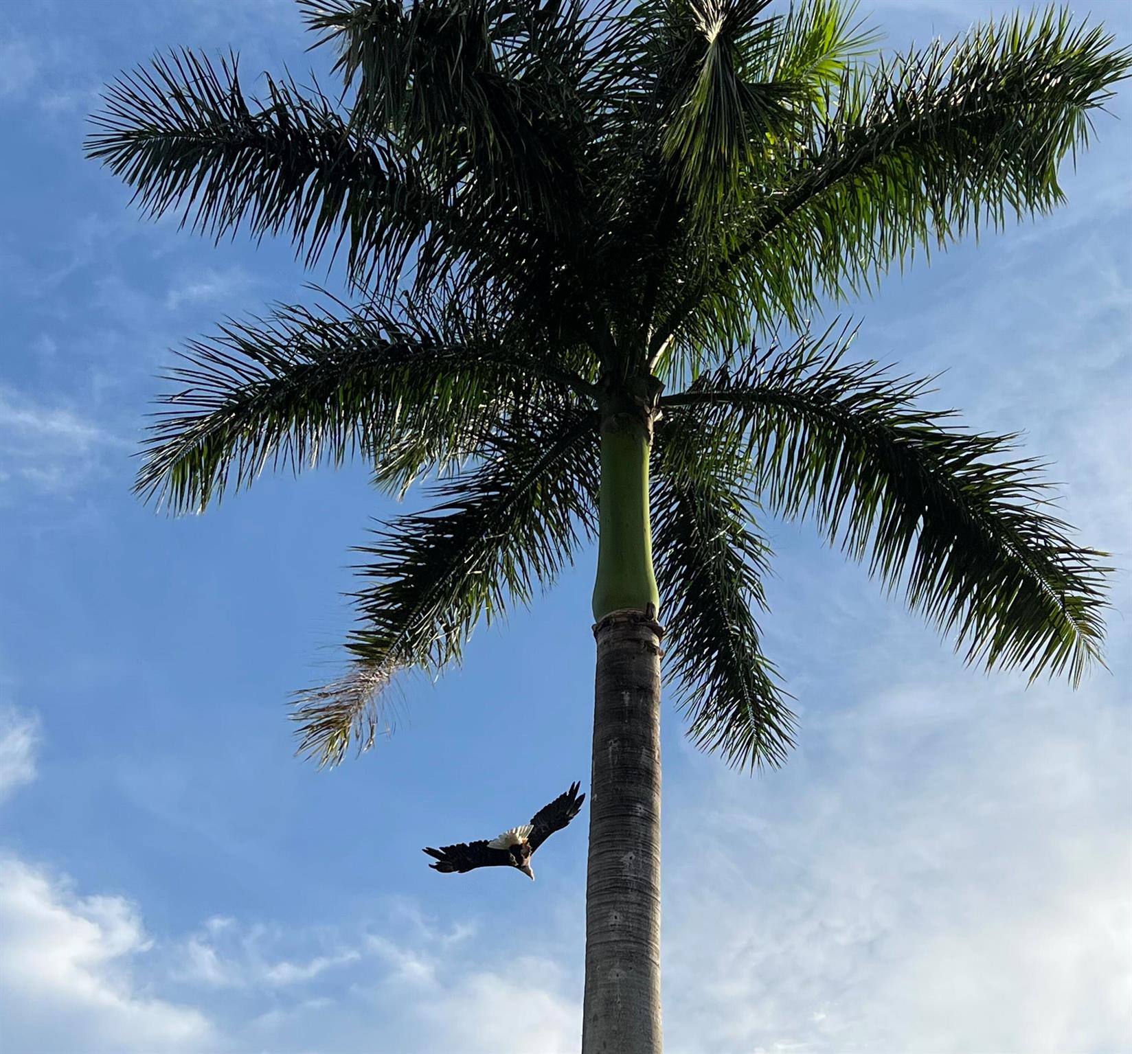 3558 Coco Lake Drive