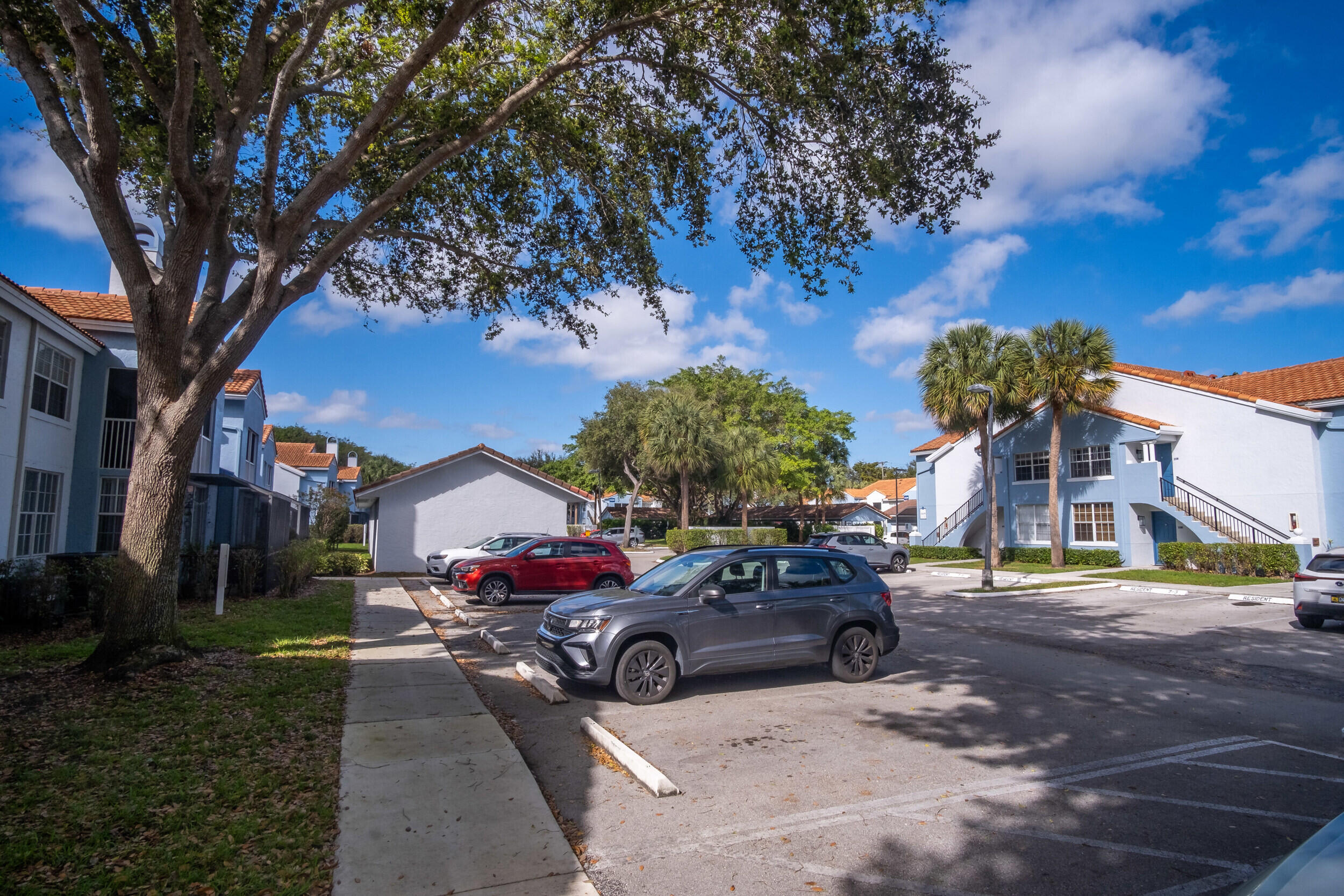 3207 Clint Moore Road 205