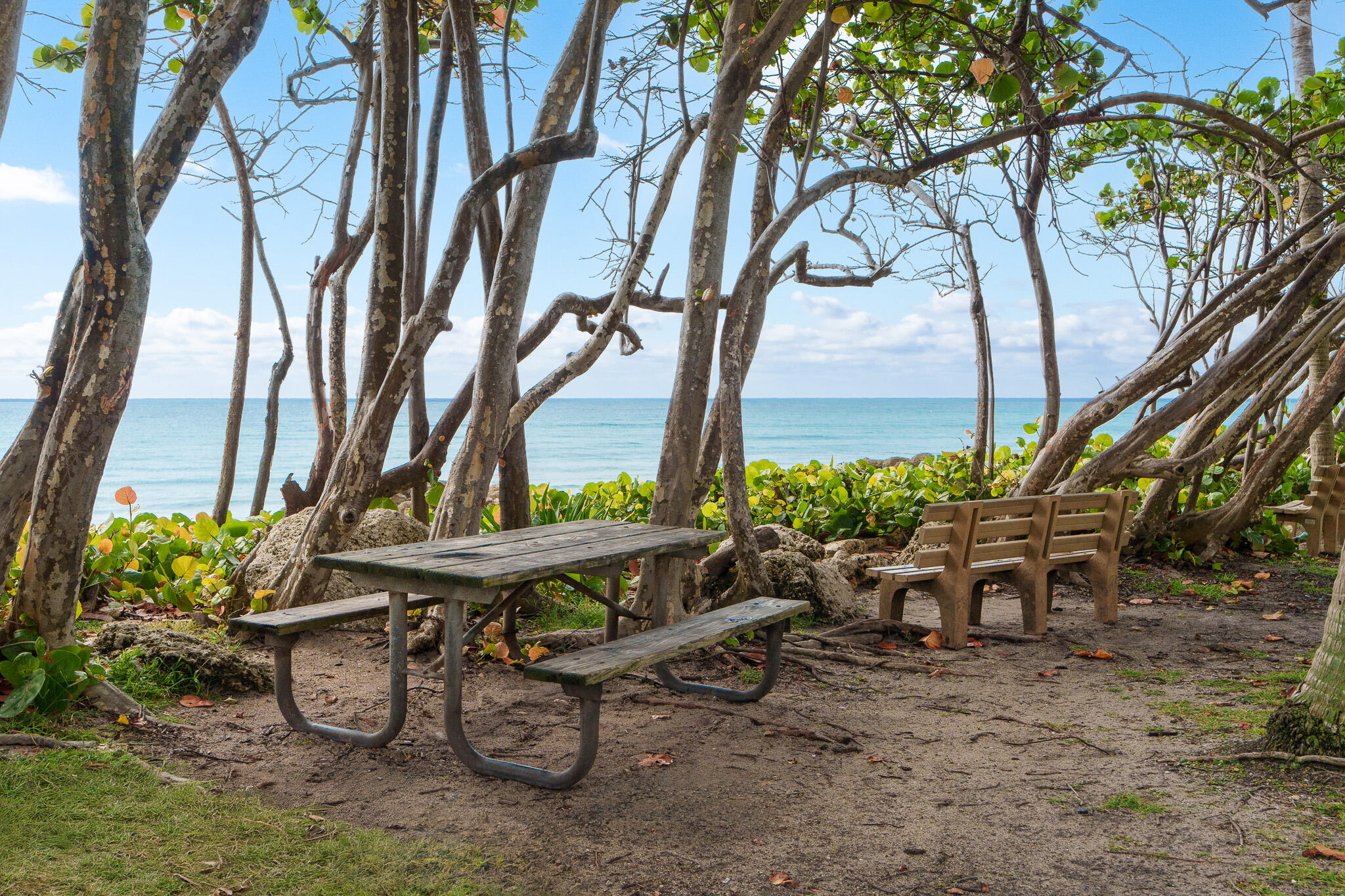 445 SE 21st Avenue 305