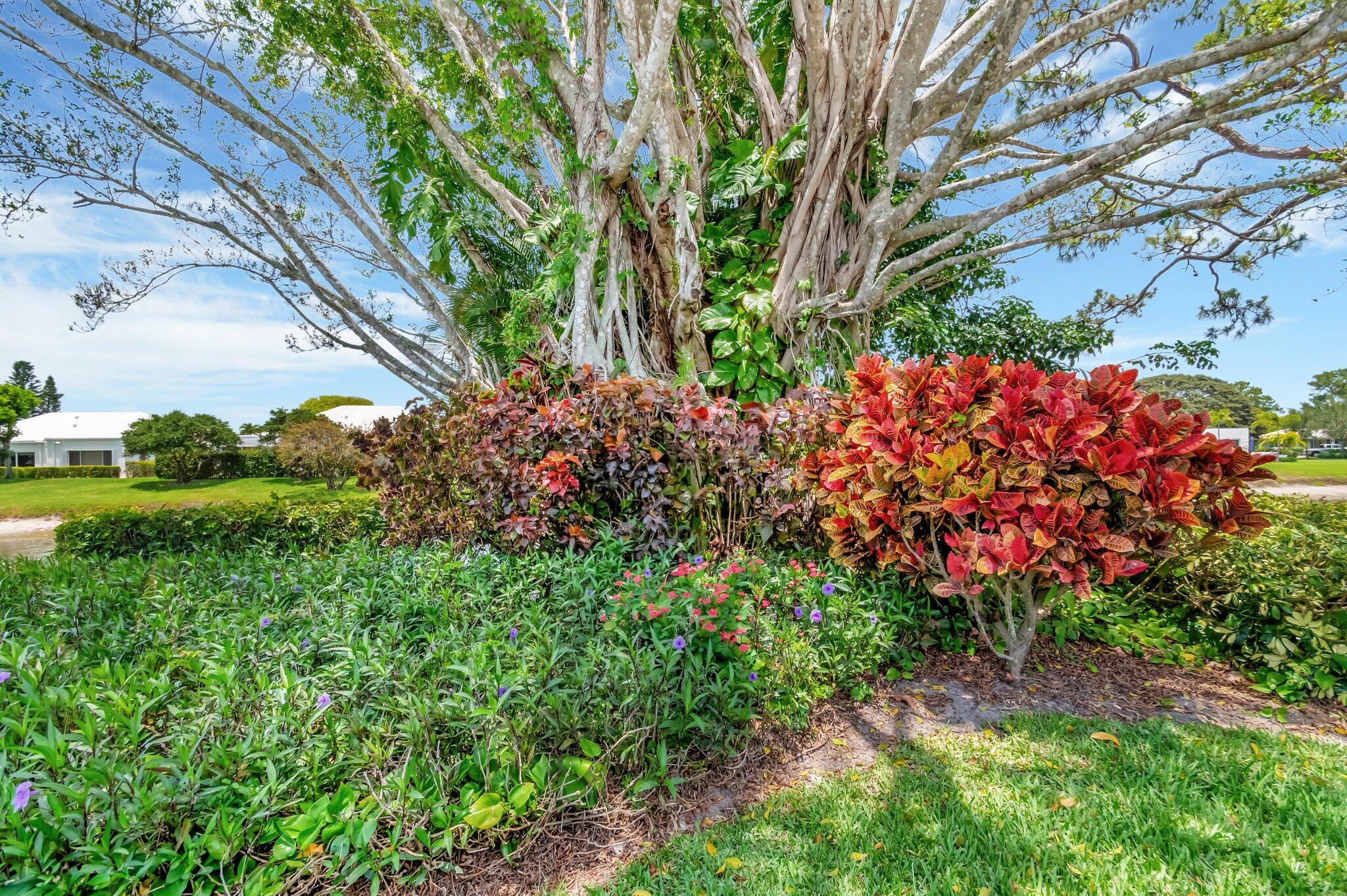 5 Slash Pine Drive