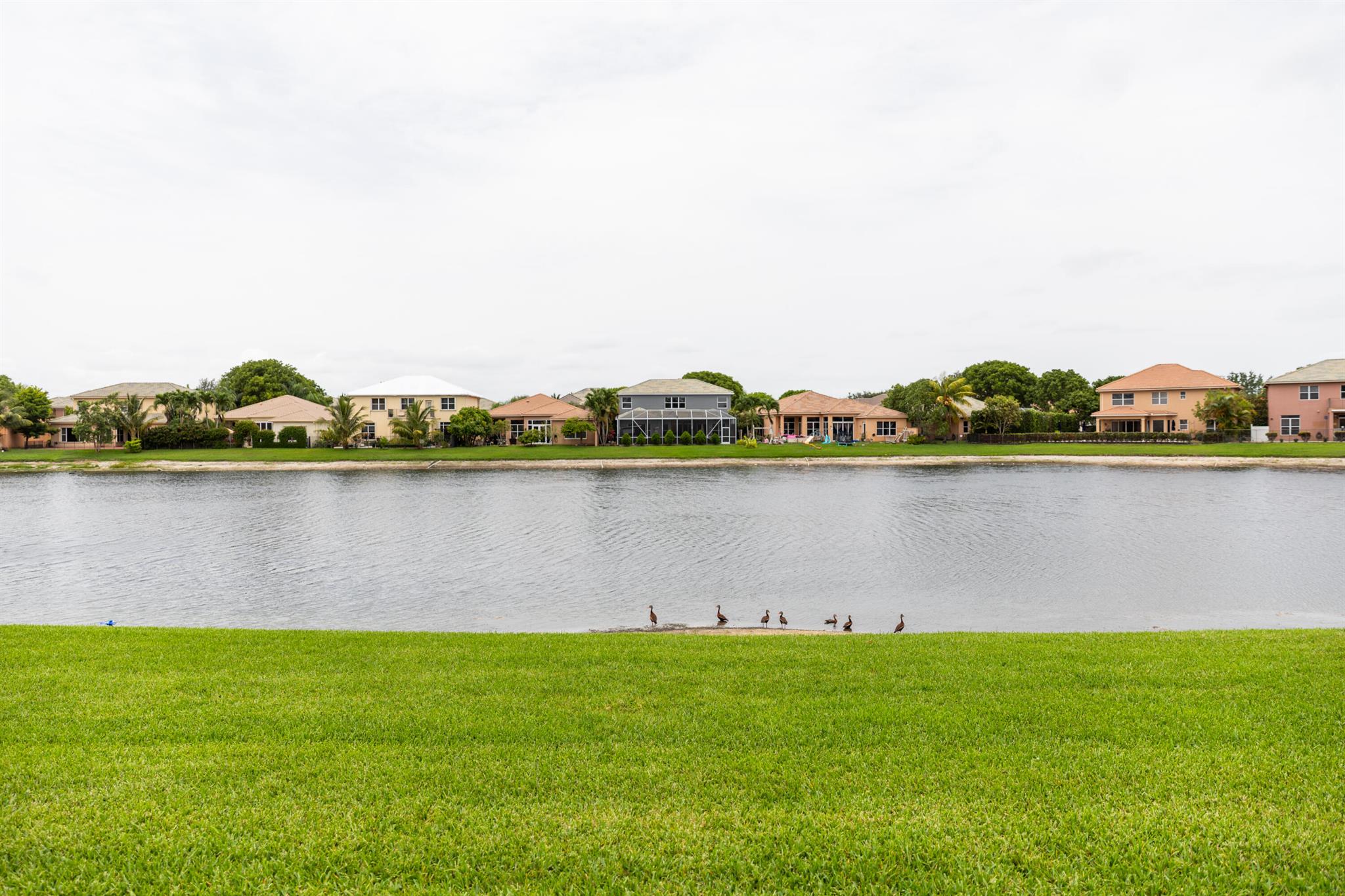 3163 Osprey Ln Lane