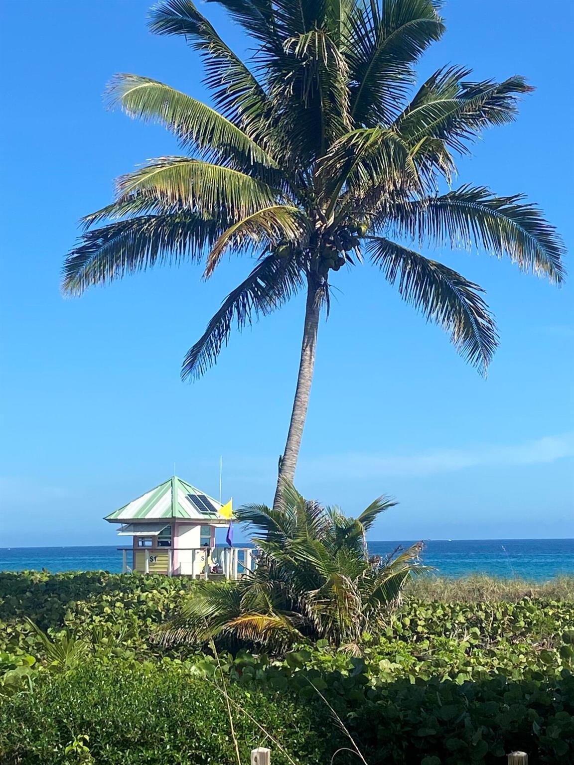 185 NE 4th Avenue E 209