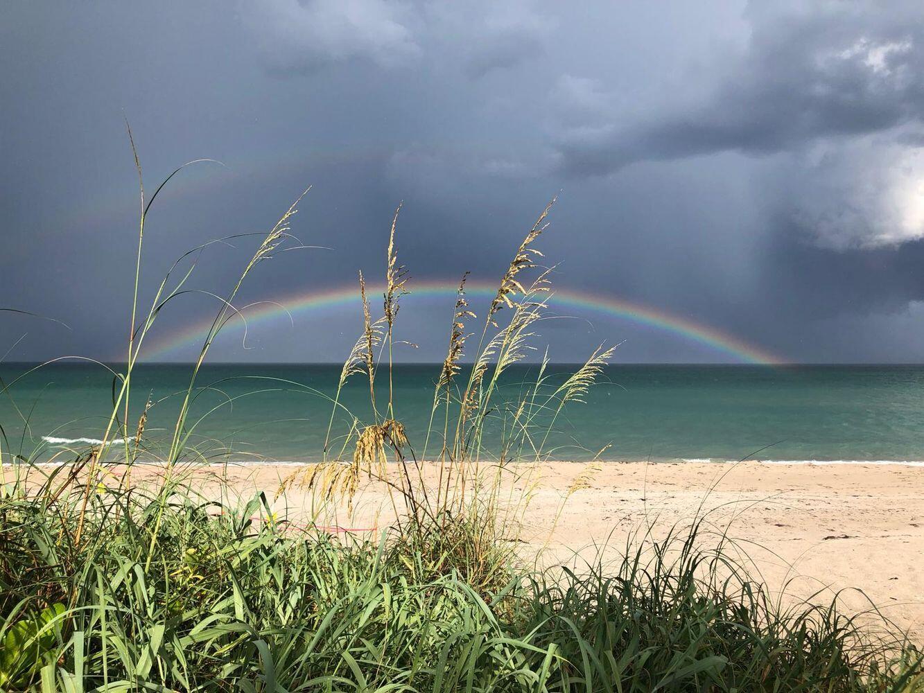 1203 Hillsboro Mile 5b