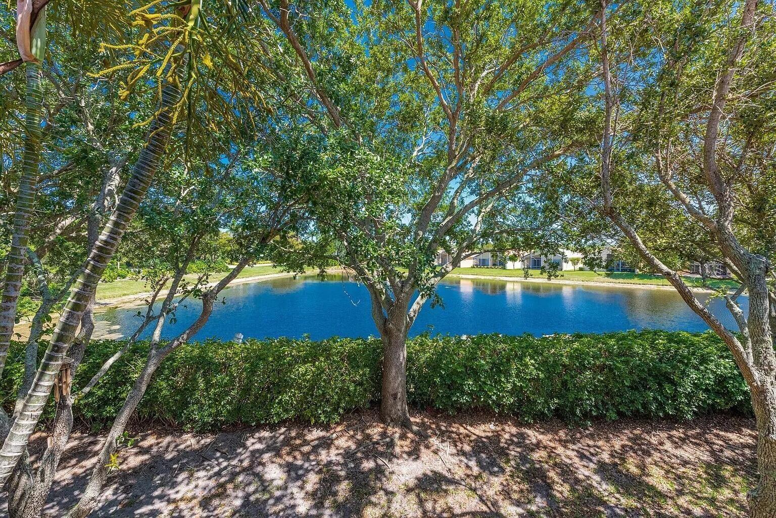 15175 Michelangelo Boulevard 206