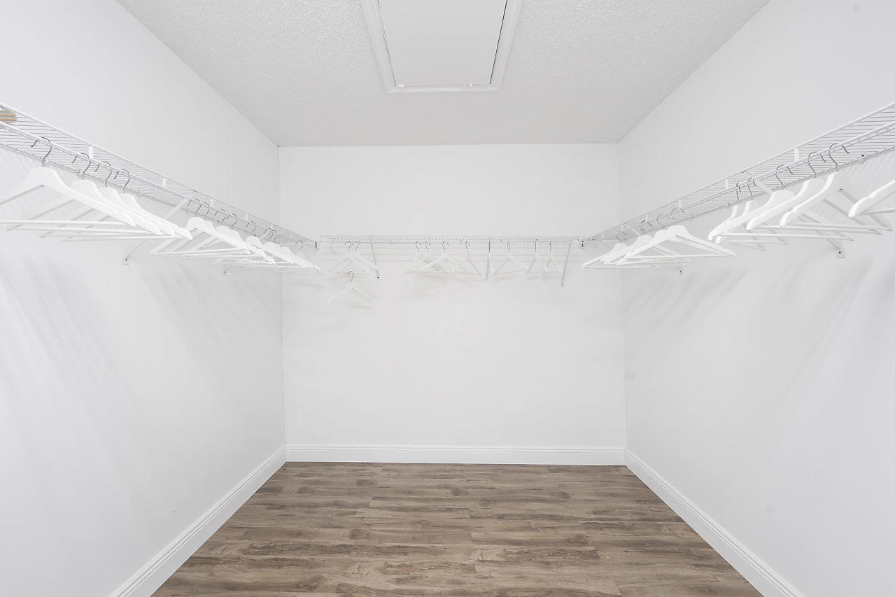 19681 Black Olive Lane