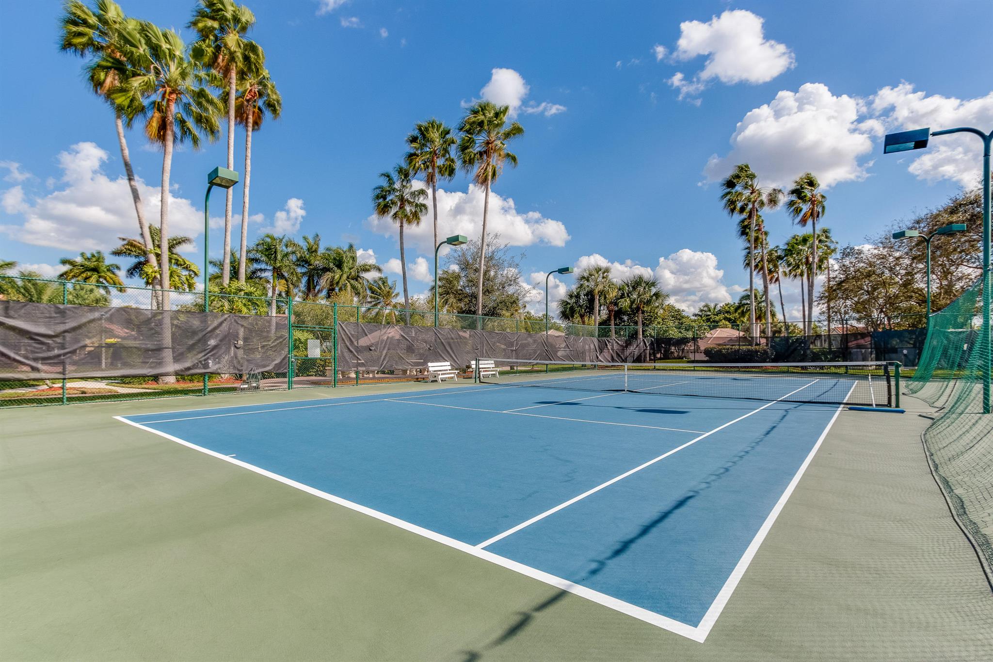 19681 Black Olive Lane