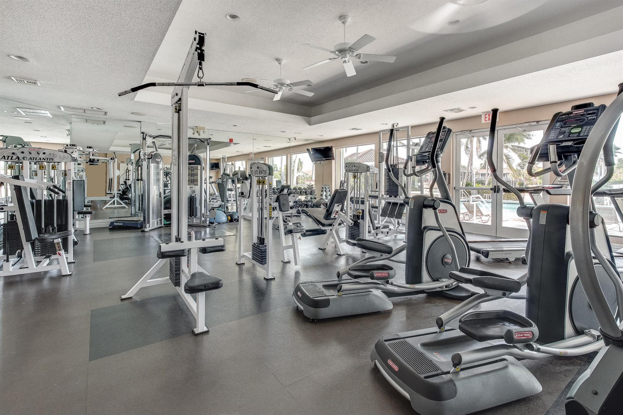 19681 Black Olive Lane