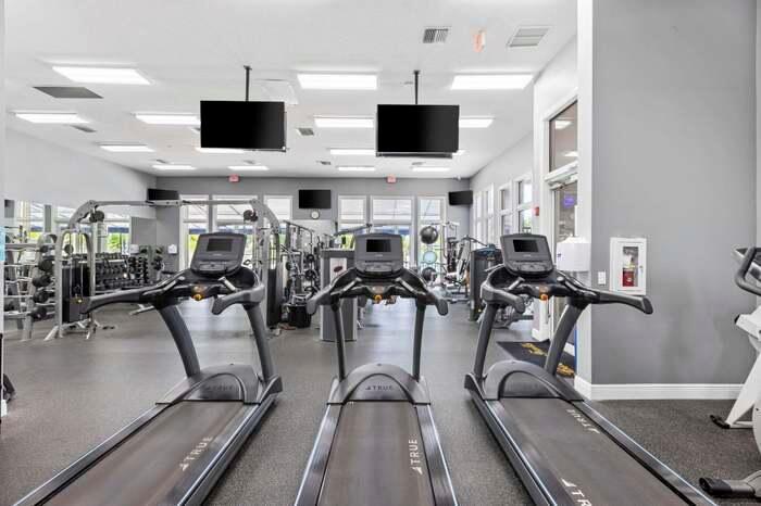 21167 Falls Ridge Way