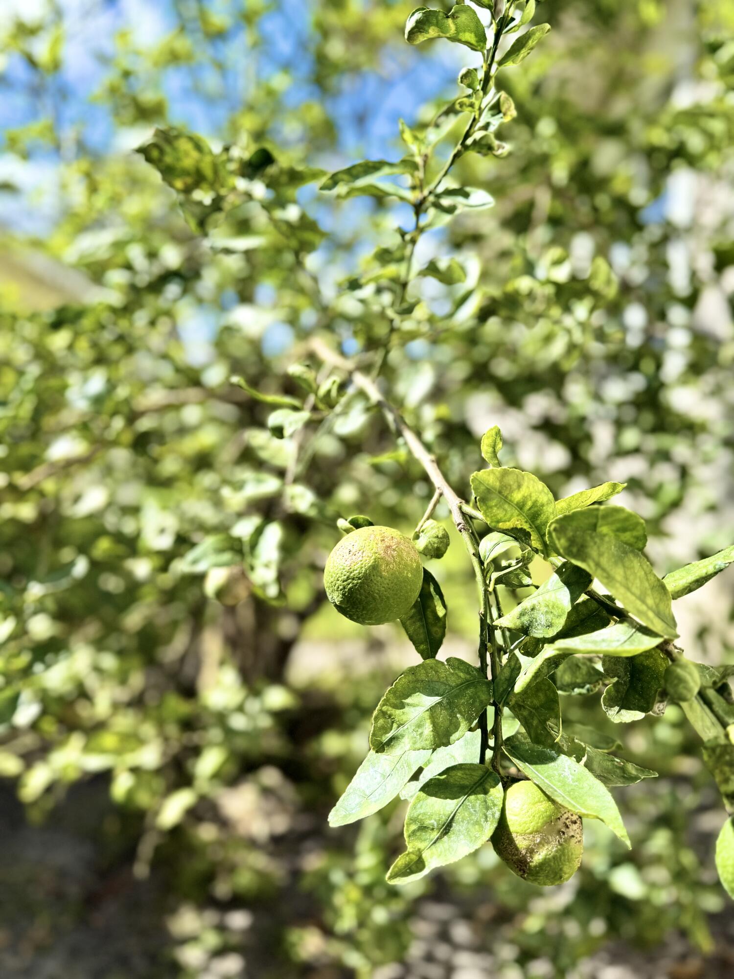 7978 SE Hempstead Circle