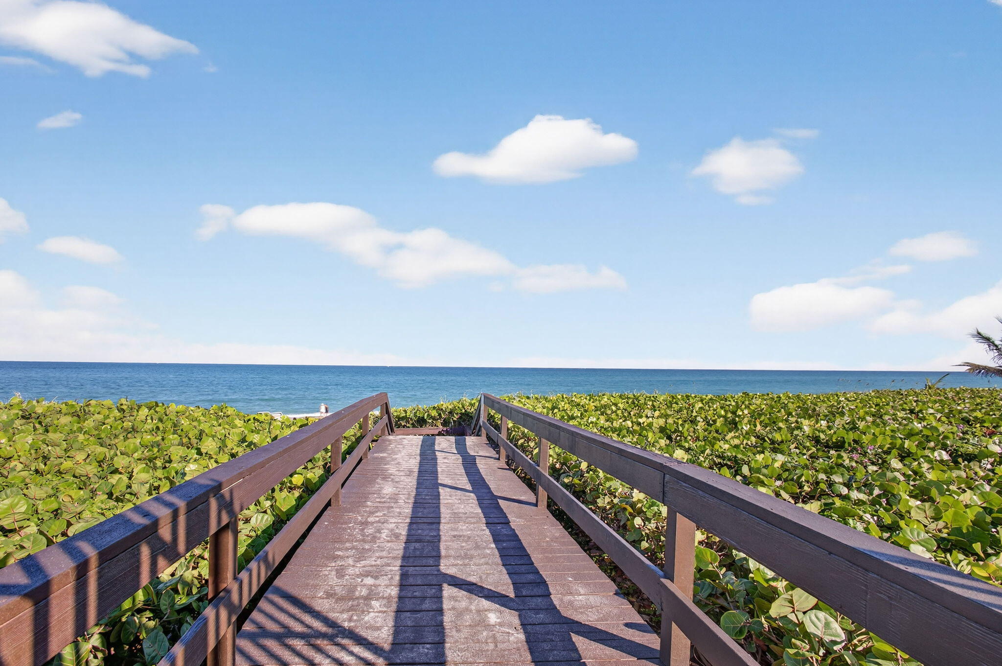 170 Celestial Way 35