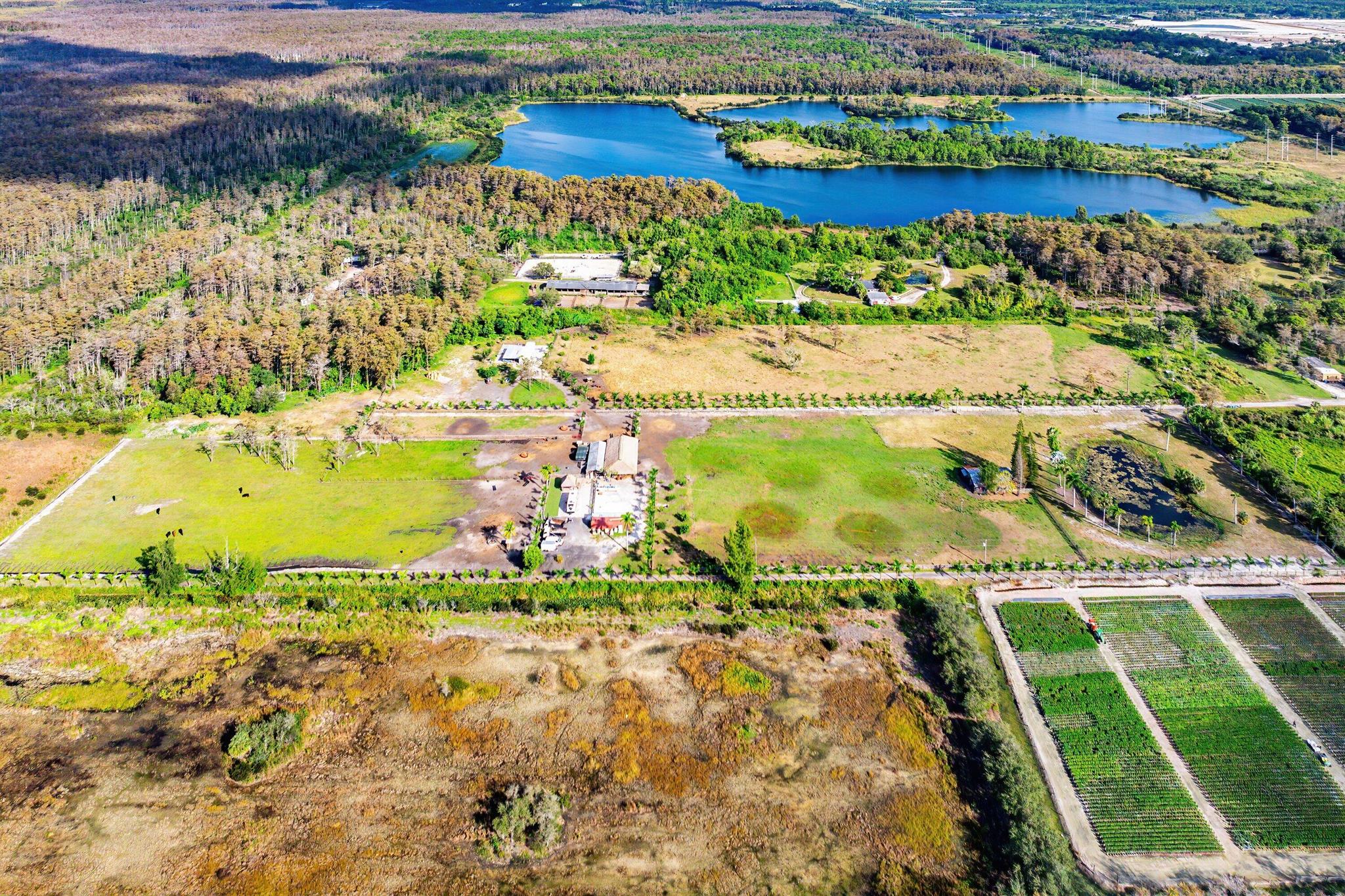 11409 Eagle Nest Drive