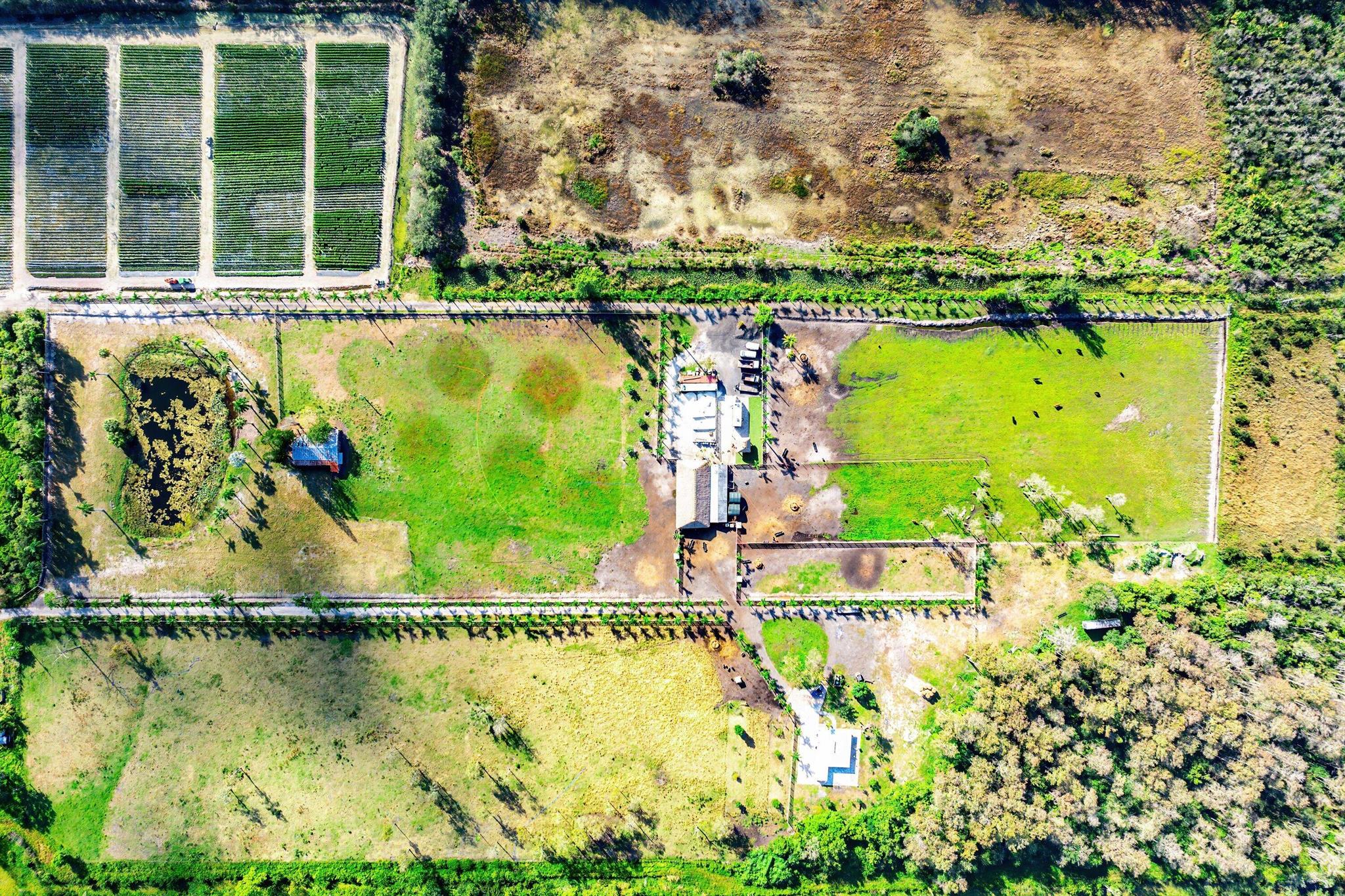 11409 Eagle Nest Drive