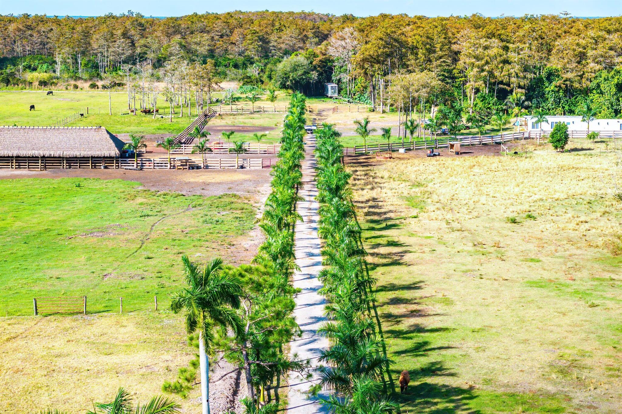 11511 Townsend/11409 Eagle Nest Dr Lane