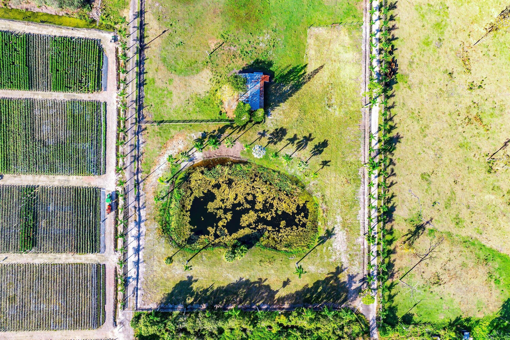 11511 Townsend/11409 Eagle Nest Dr Lane