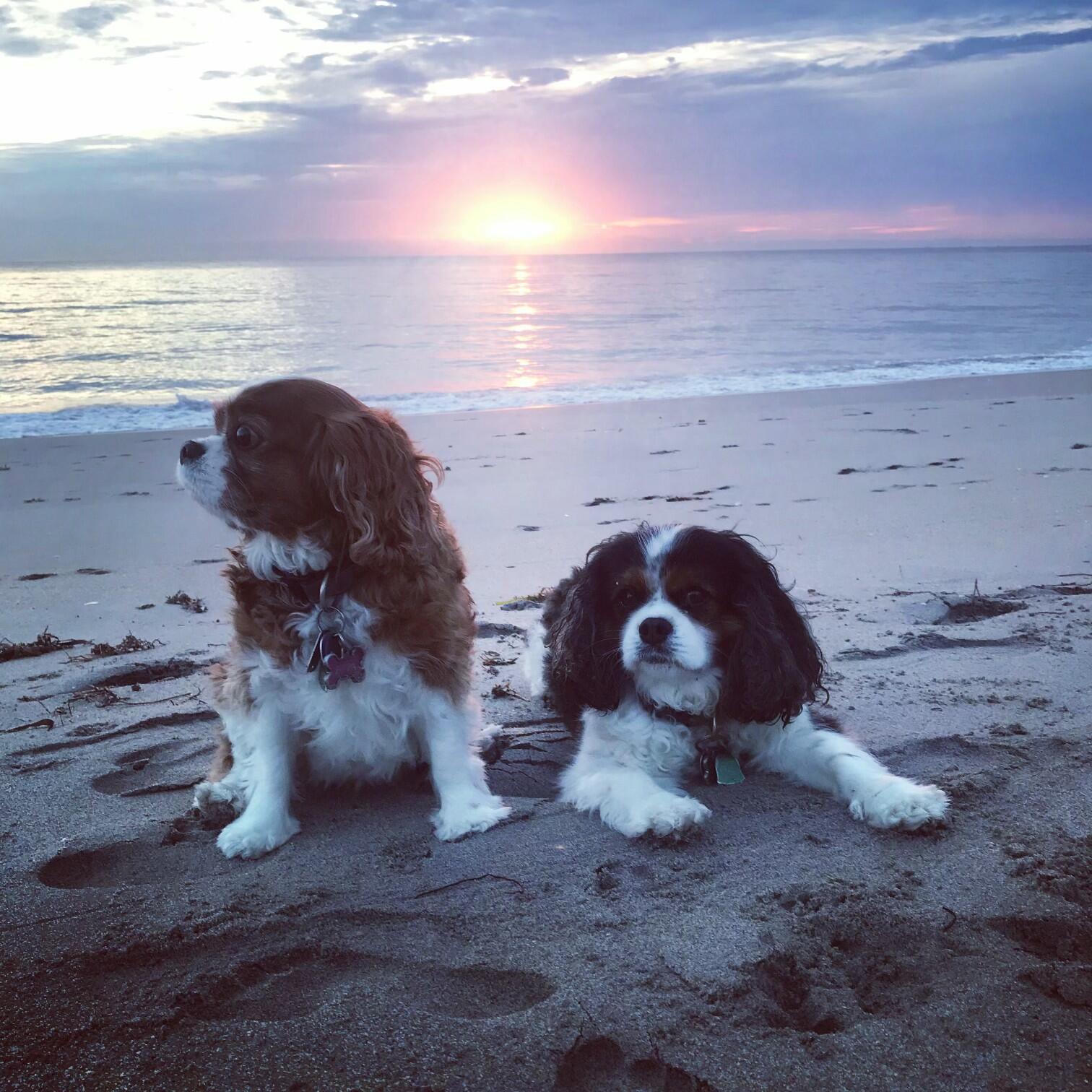 3421 S Ocean Boulevard 1