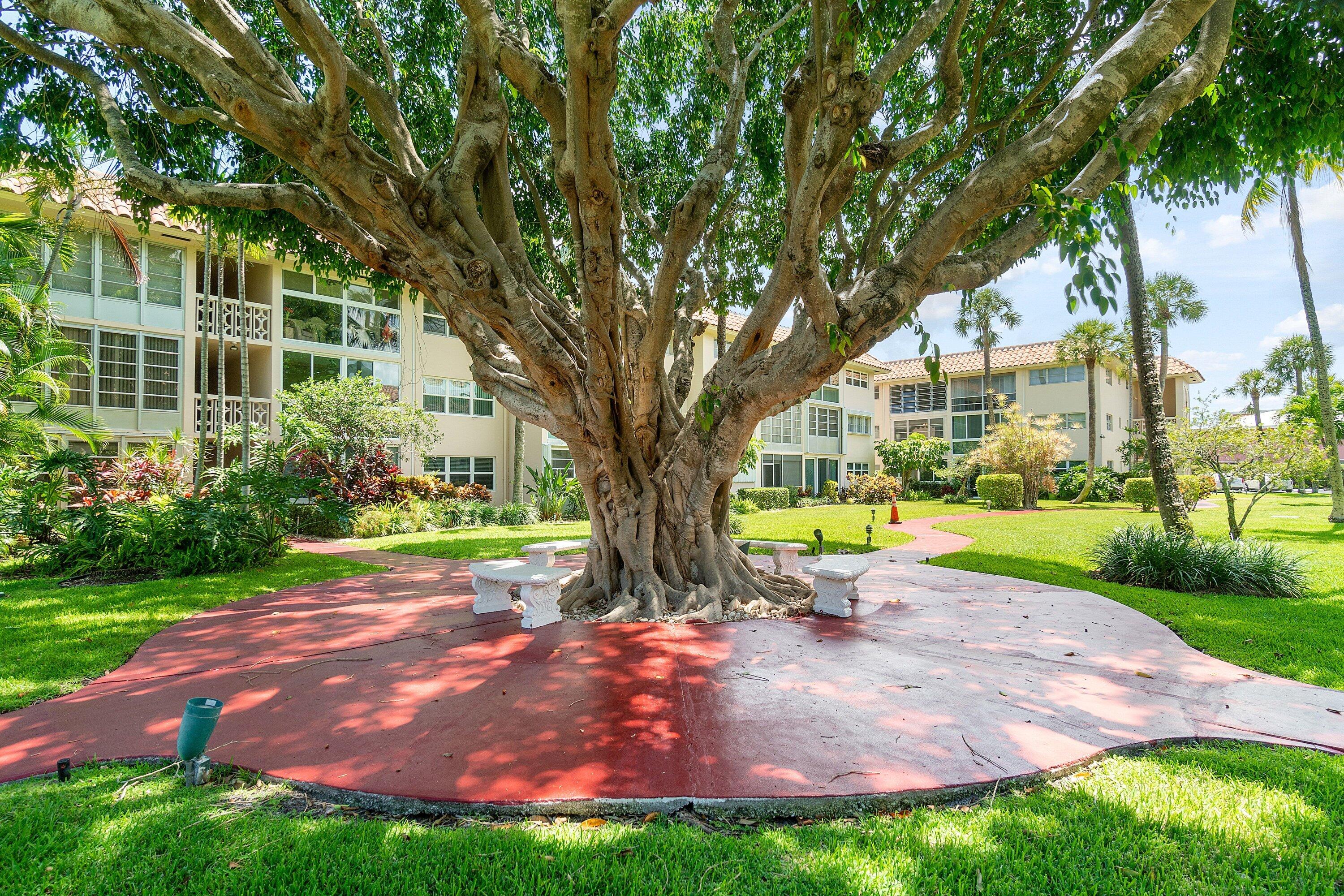400 NE 20th Street D101