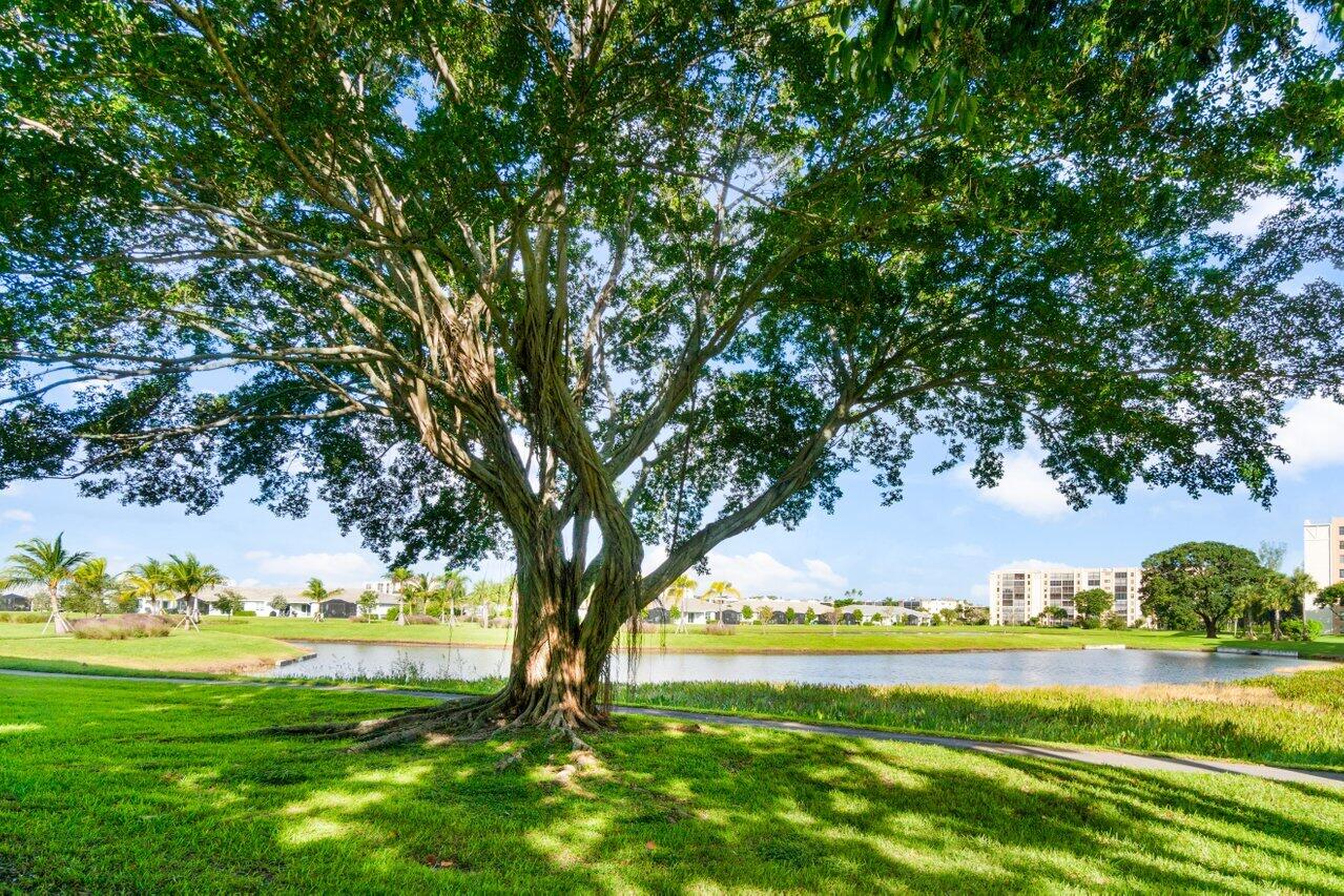 14623 Bonaire Boulevard 405