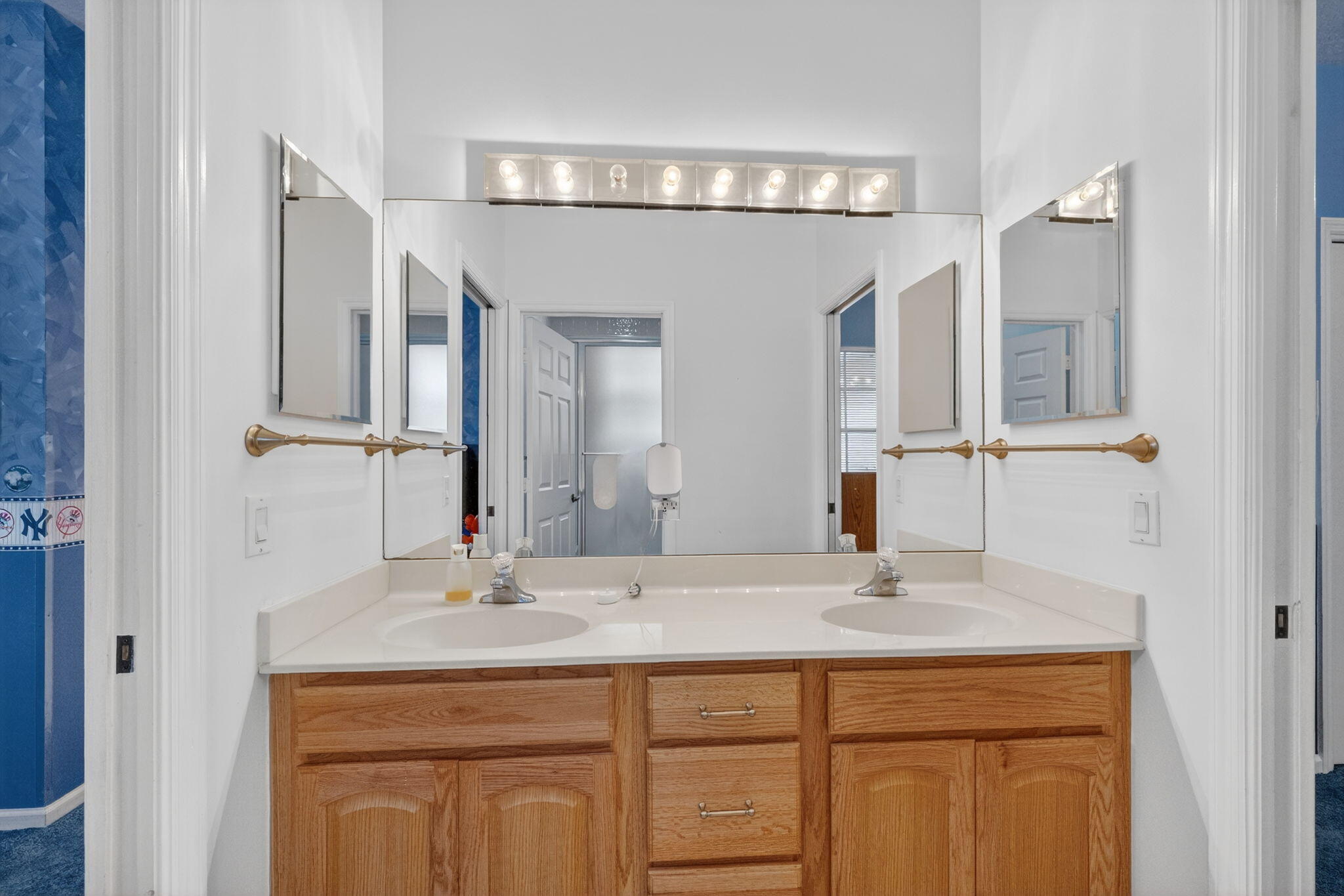 2946 Sabalwood Court