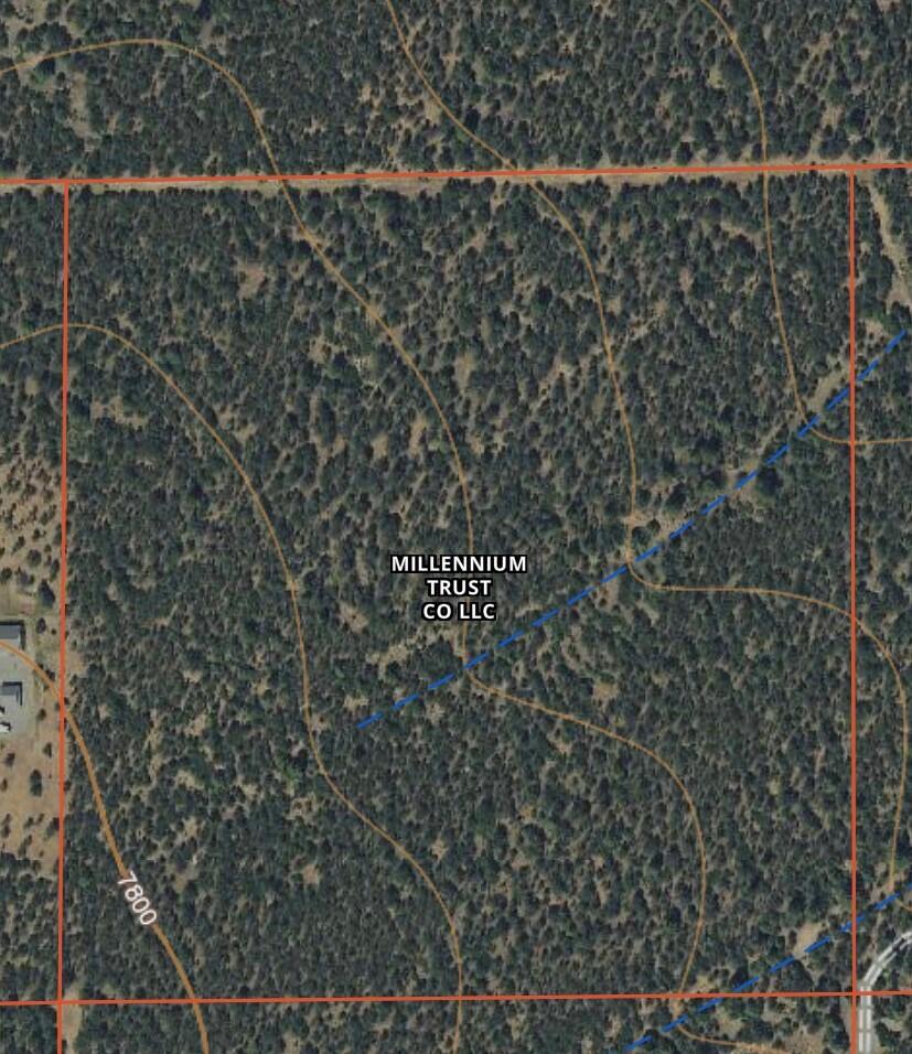Aerial view of a wooded parcel outlined in red, with contour lines and a blue dashed line.