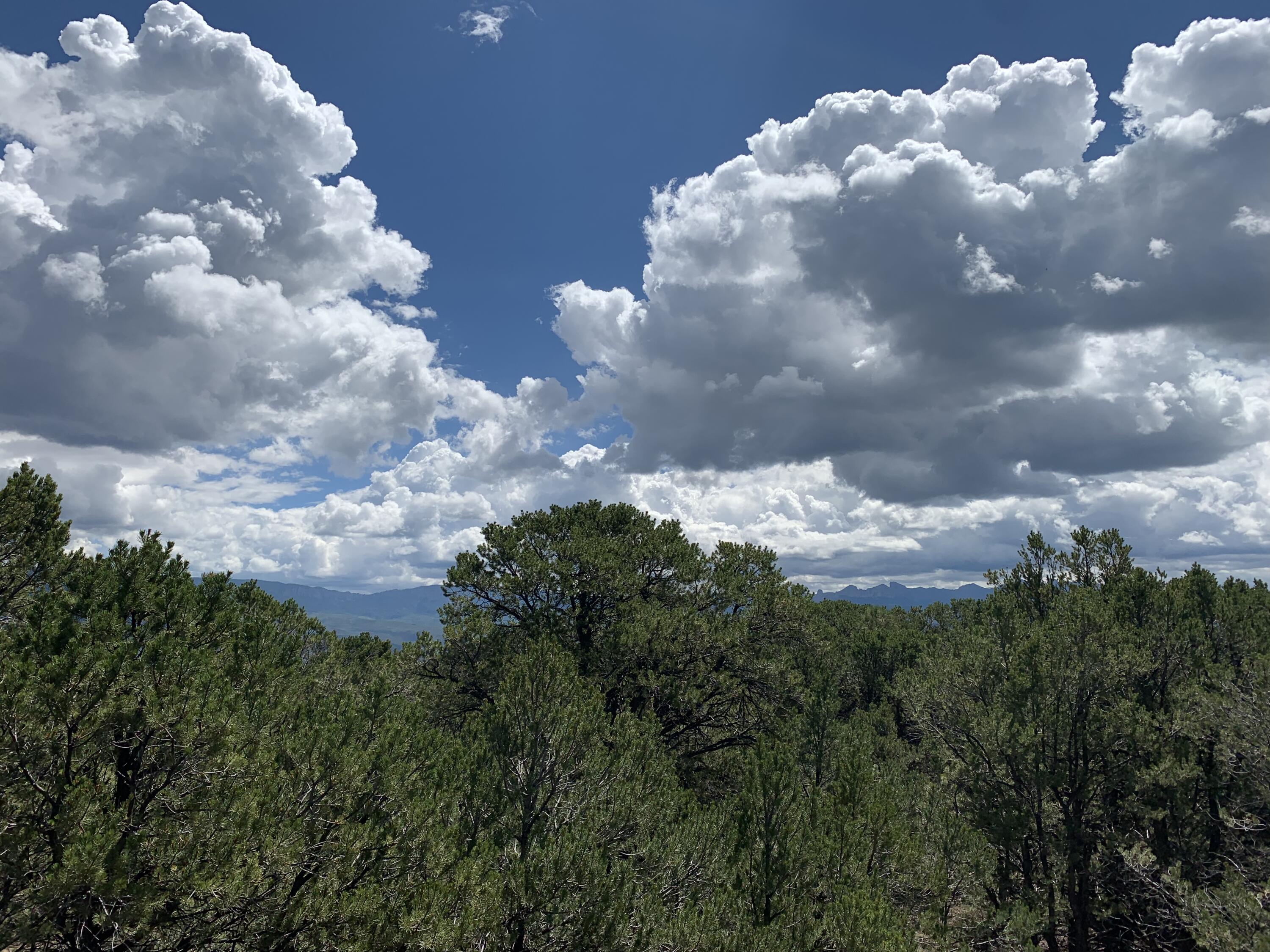 Wooded vacant land with distant mountain views beneath a dramatic cloud-filled sky.