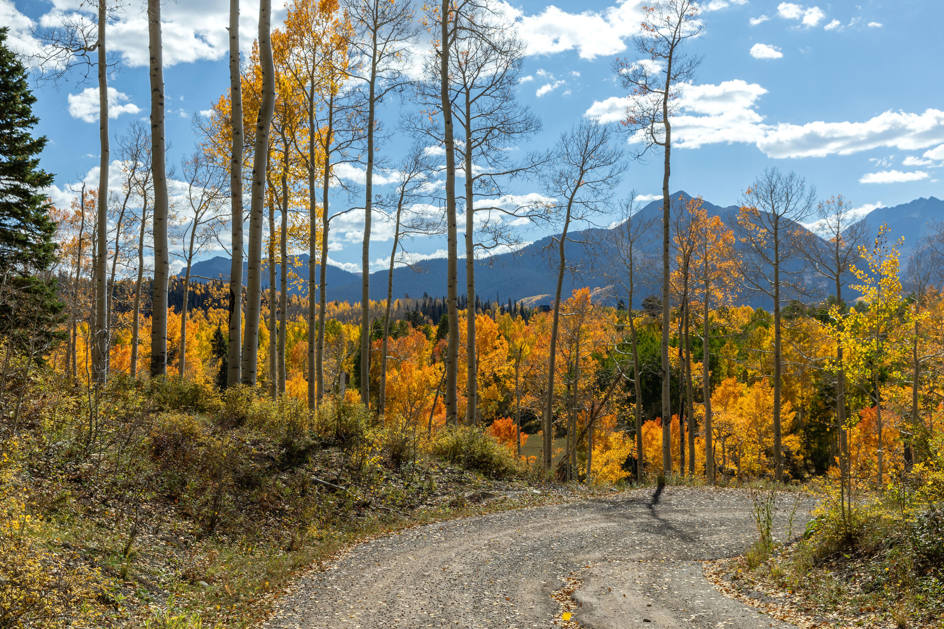 TBD Elk Run