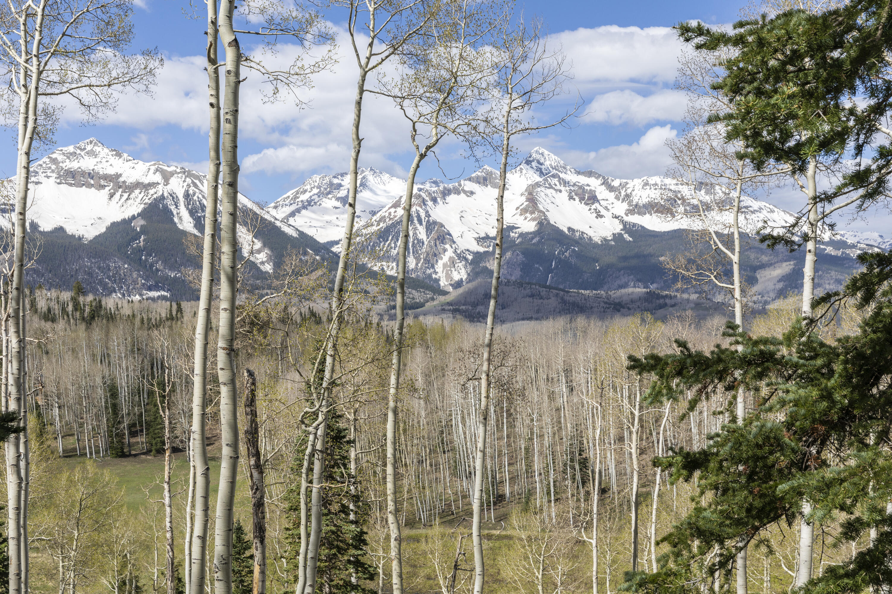TBD Elk Run