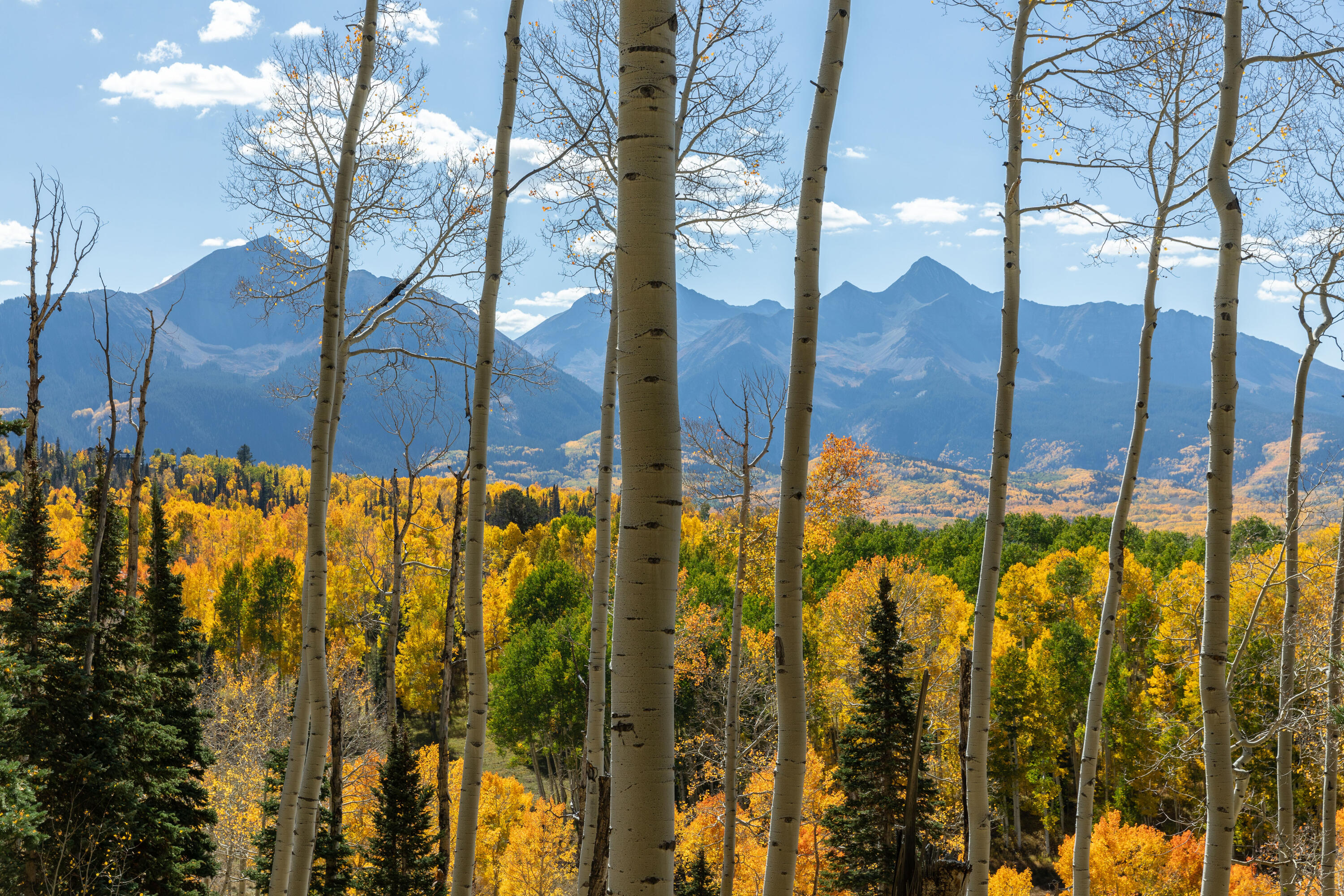 TBD Elk Run