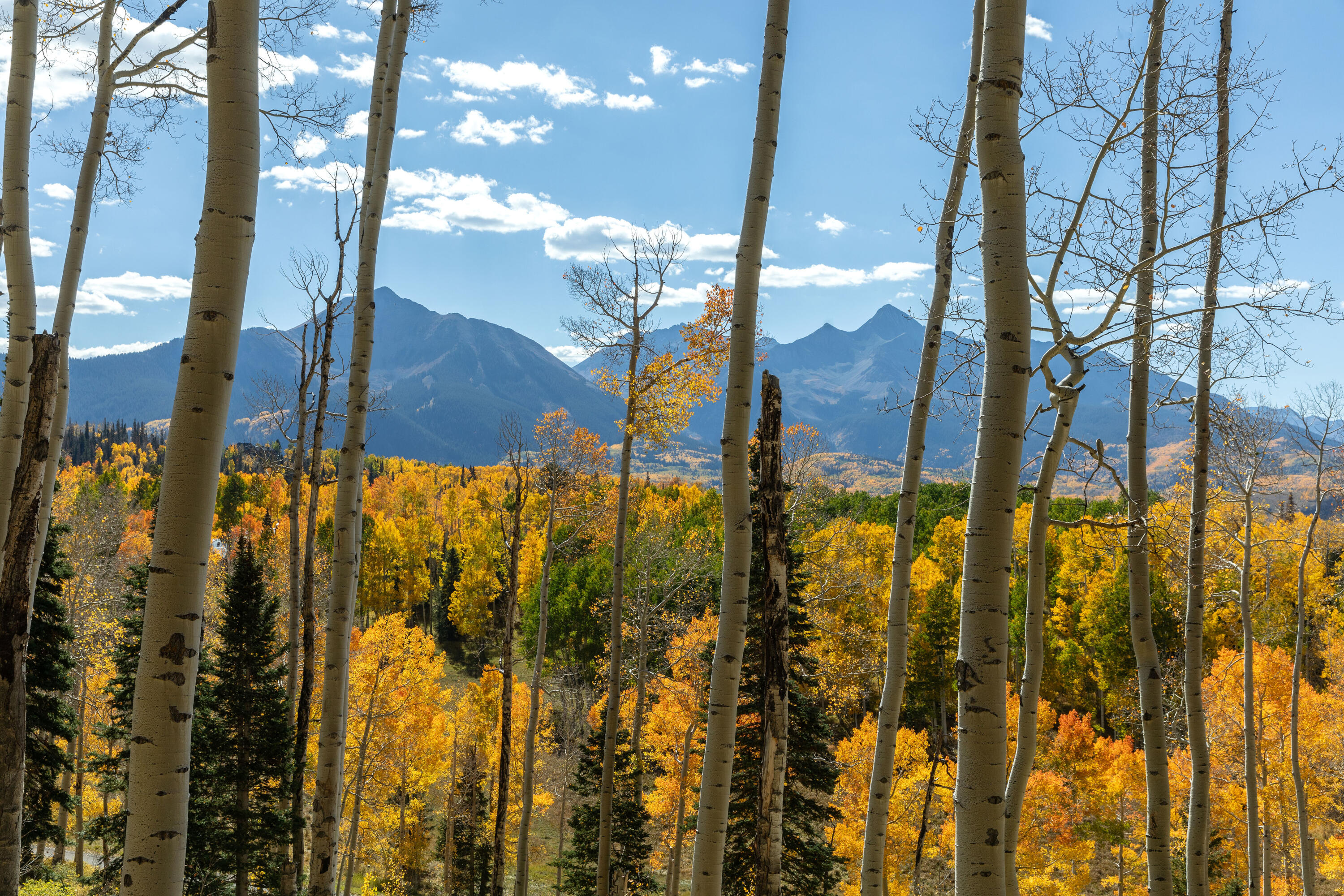 TBD Elk Run