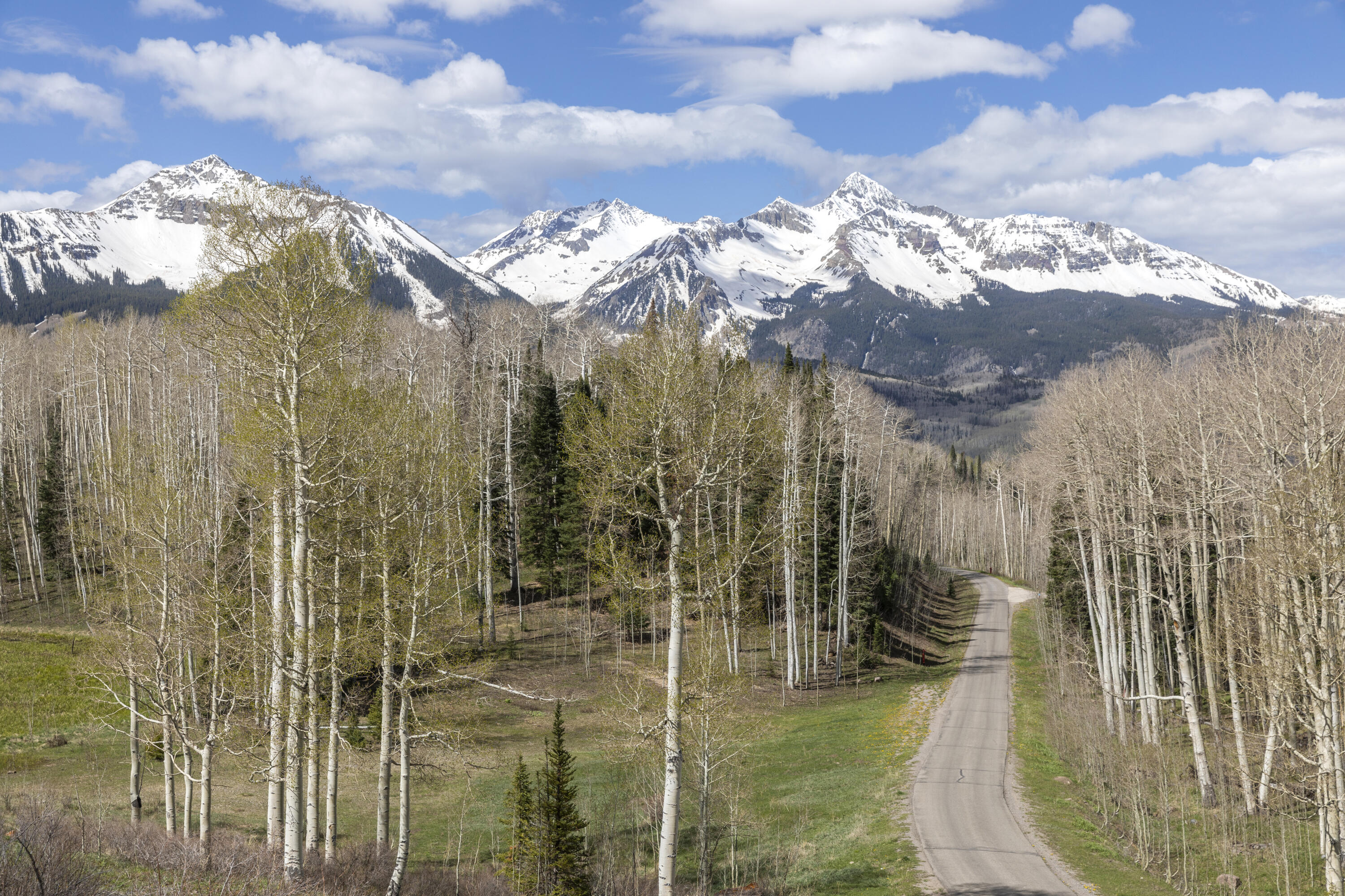 TBD Elk Run