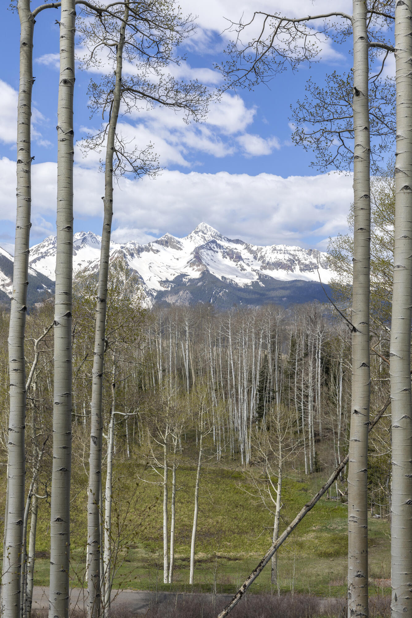 TBD Elk Run