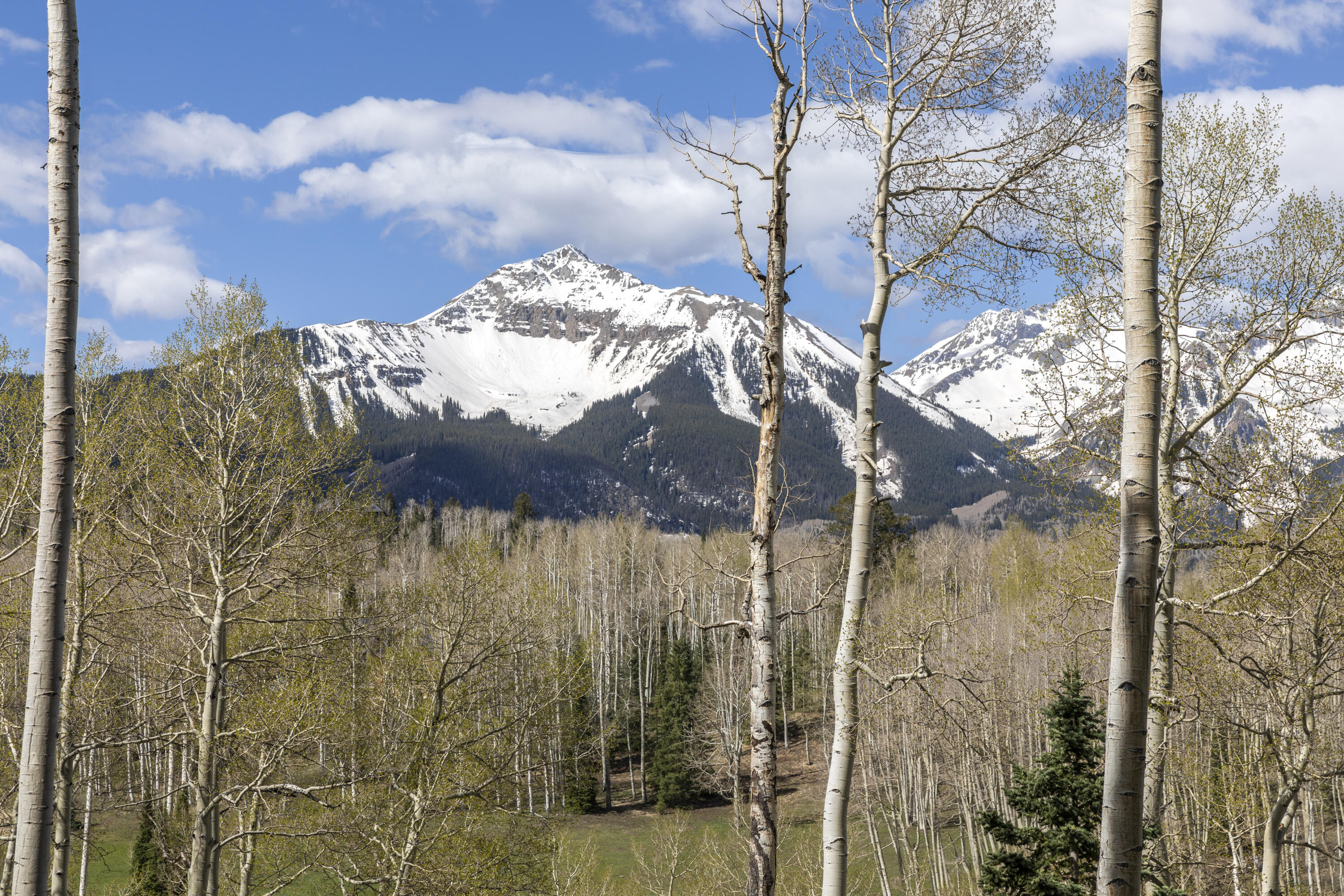 TBD Elk Run