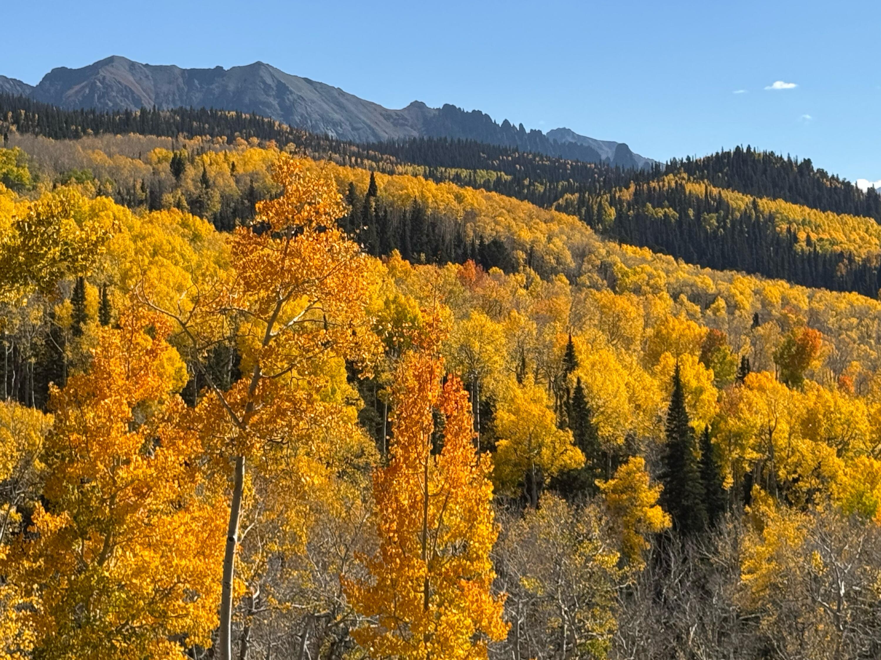 TBD Saddle Horn Lane