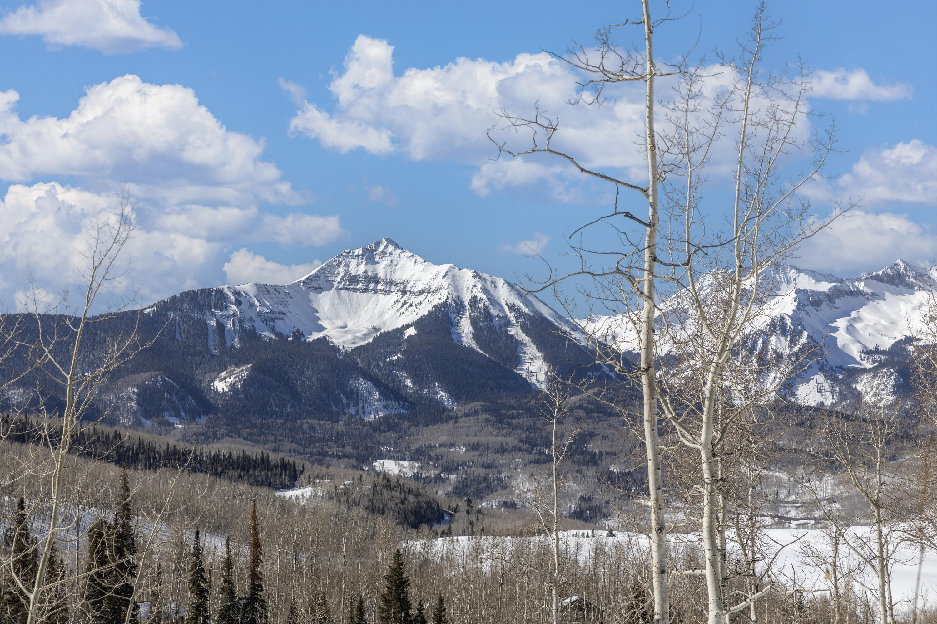 TBD Saddle Horn Lane