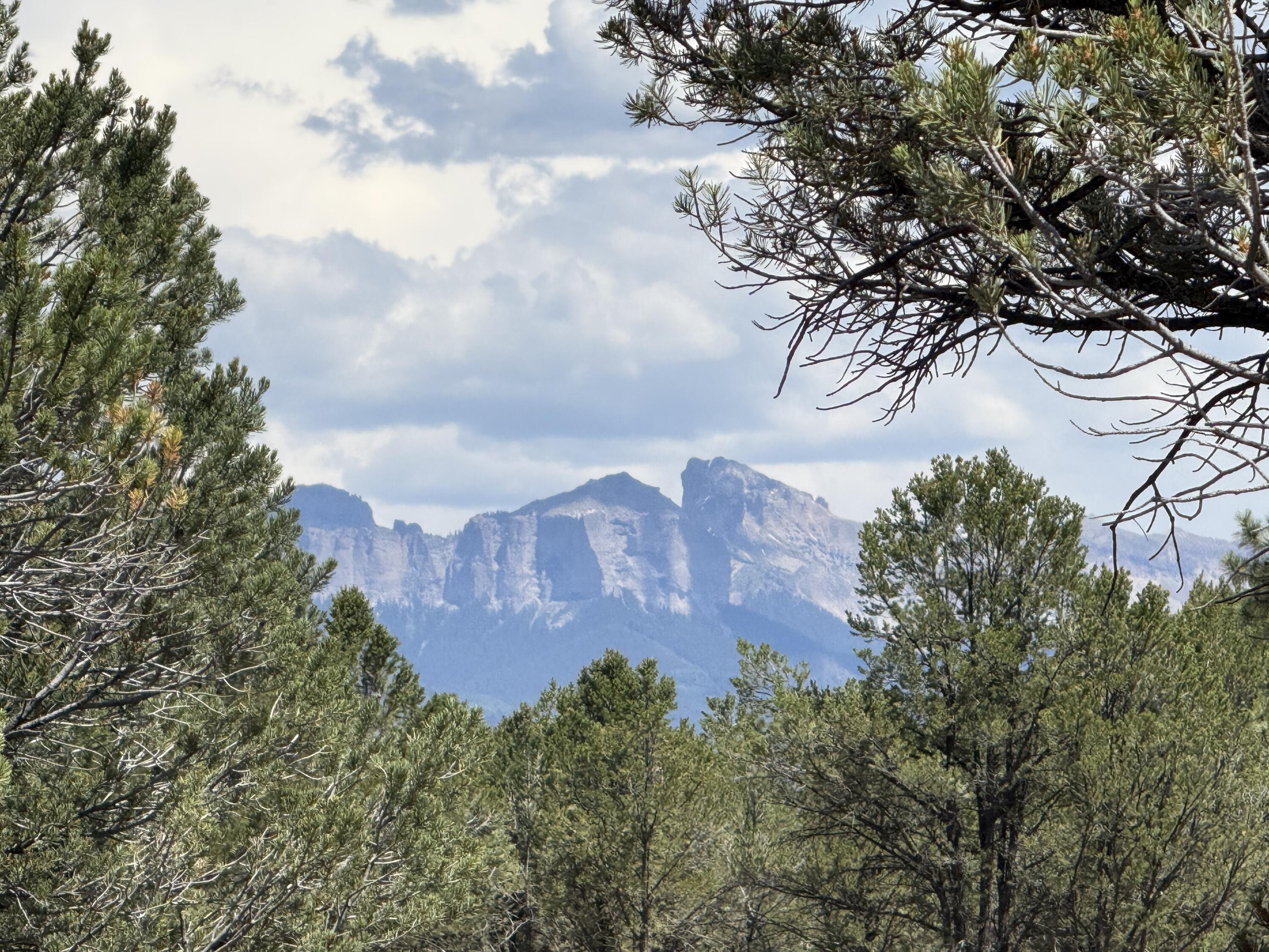 Mountain peaks framed by evergreen trees.