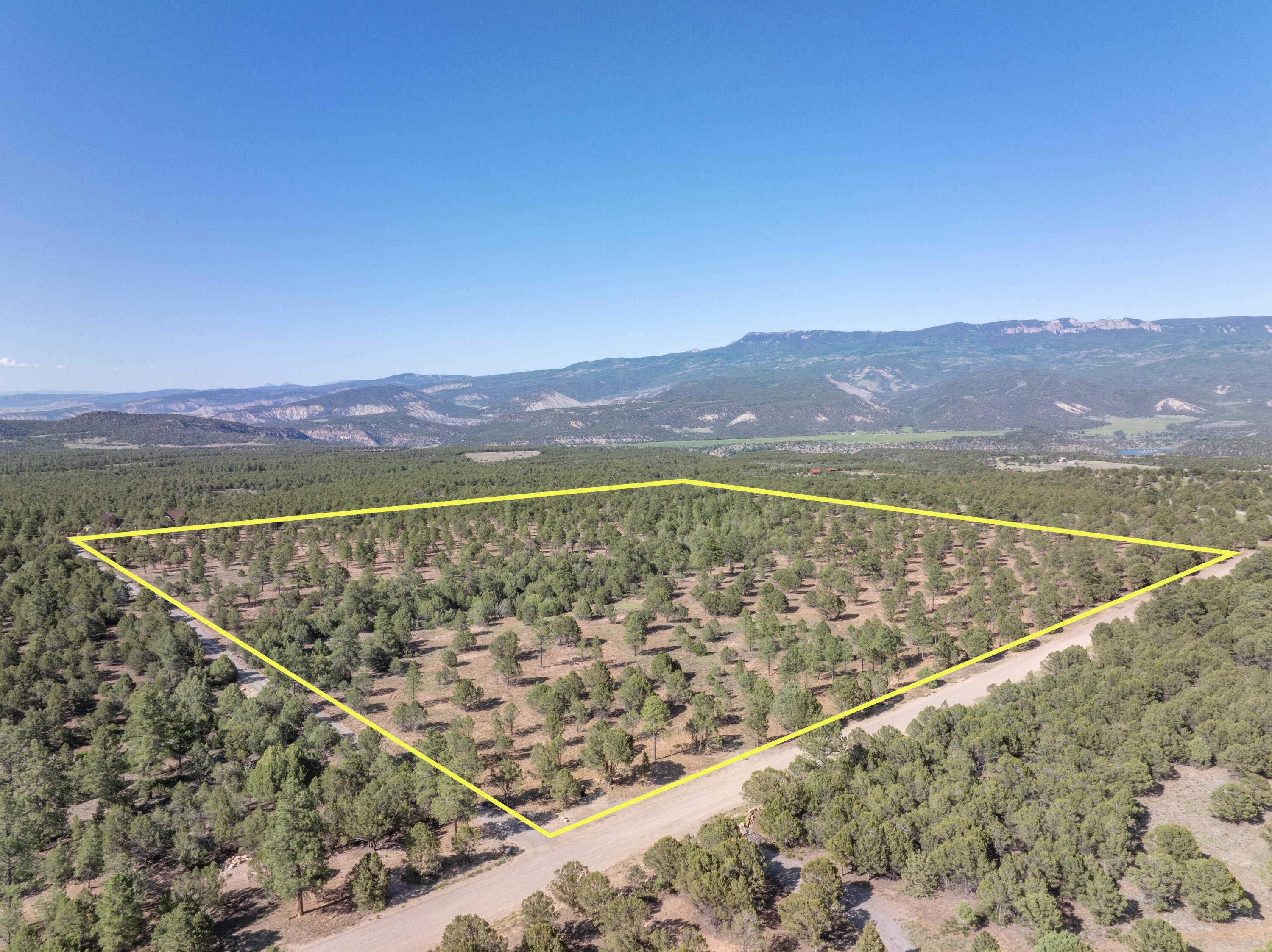 Pine-covered vacant parcel outlined in yellow beside a dirt road, with mountain ranges beyond.