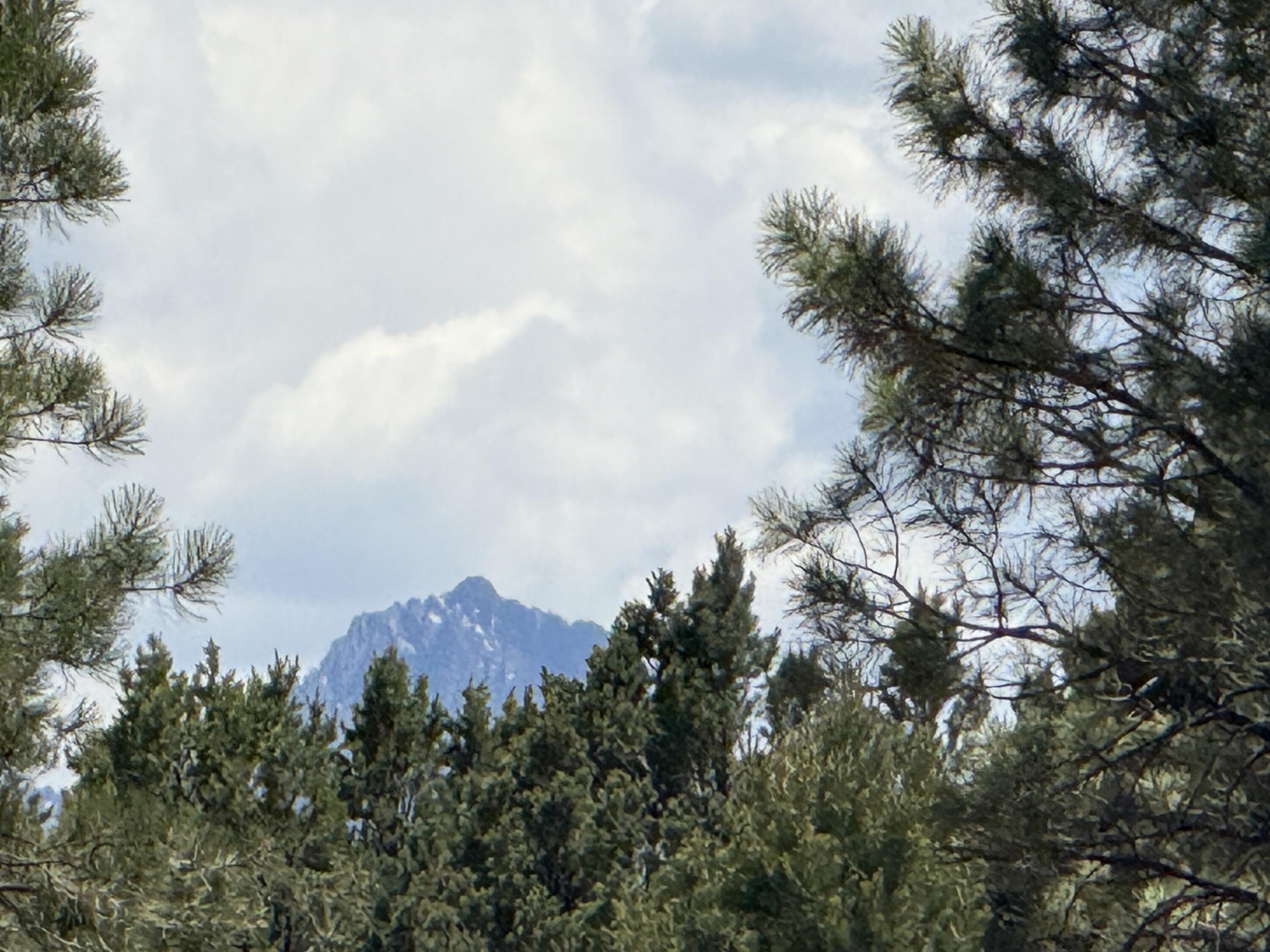 Mountain peak framed by evergreen trees beneath a cloudy daytime sky.