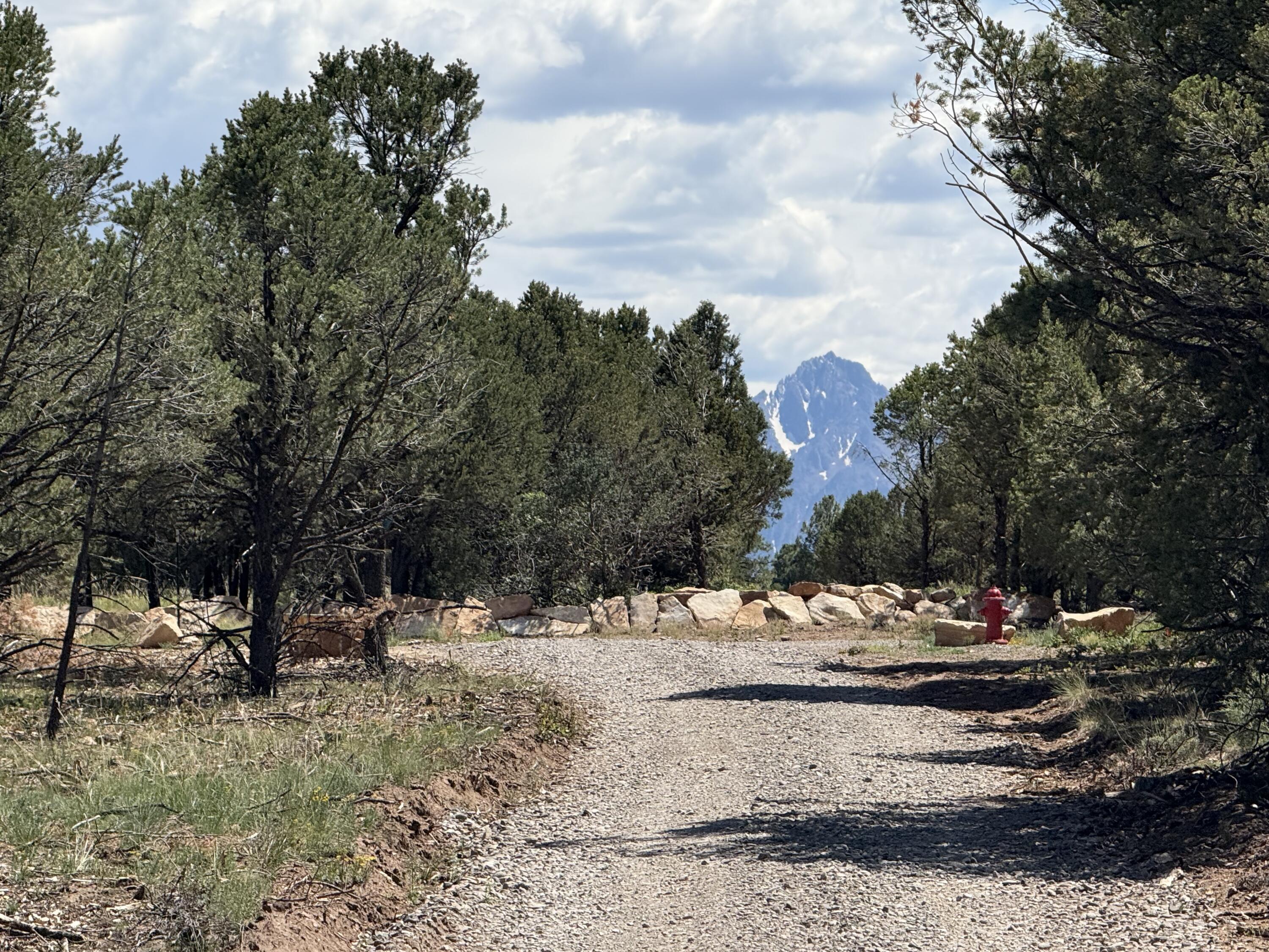 Gravel drive through pine trees toward a snow-streaked mountain, with a red fire hydrant by the stone border.
